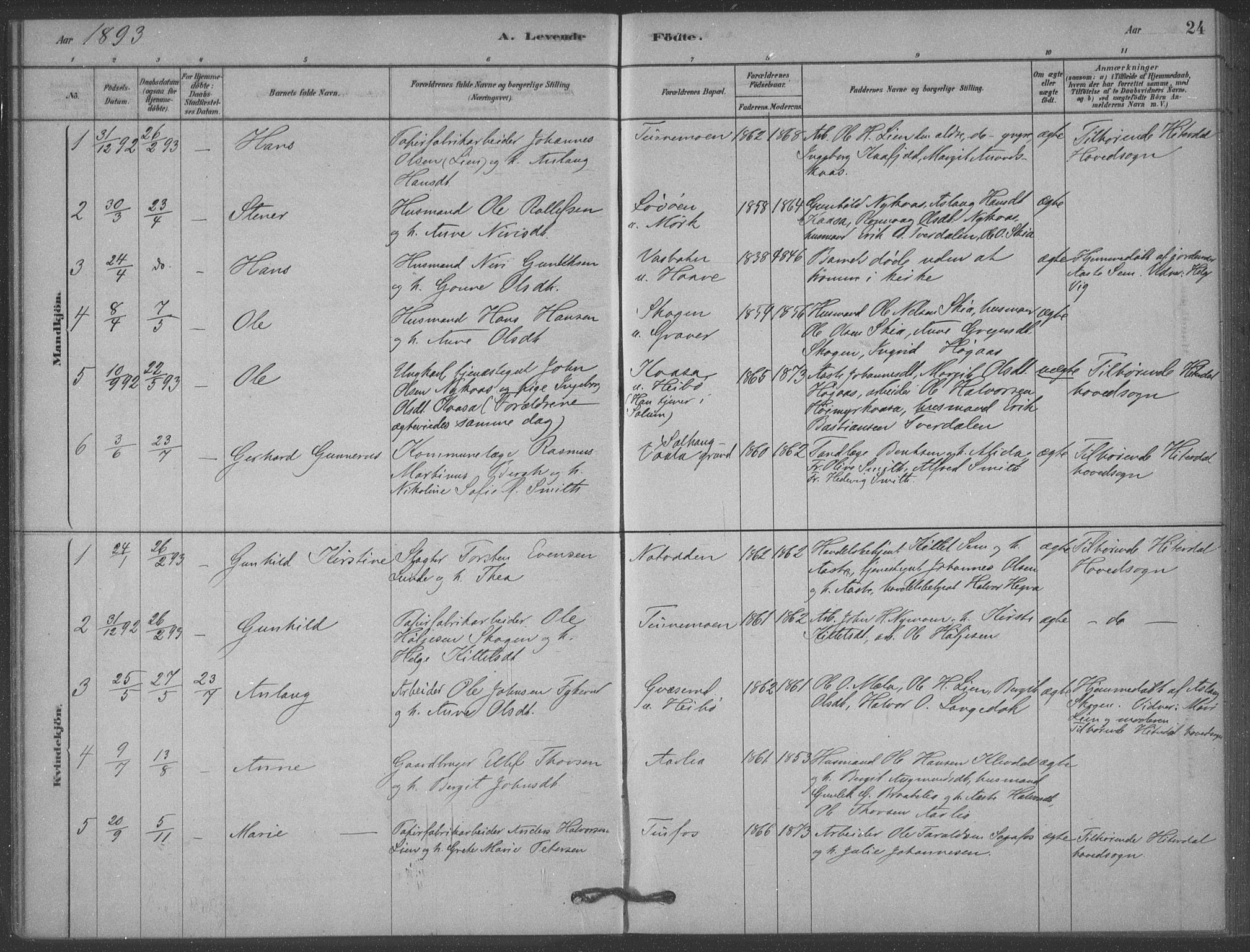 Heddal kirkebøker, AV/SAKO-A-268/F/Fb/L0002: Parish register (official) no. II 2, 1878-1913, p. 24