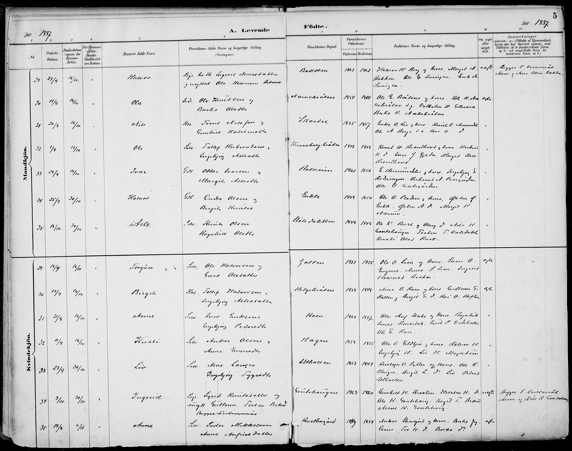 Gol kirkebøker, AV/SAKO-A-226/F/Fa/L0005: Parish register (official) no. I 5, 1887-1900, p. 5