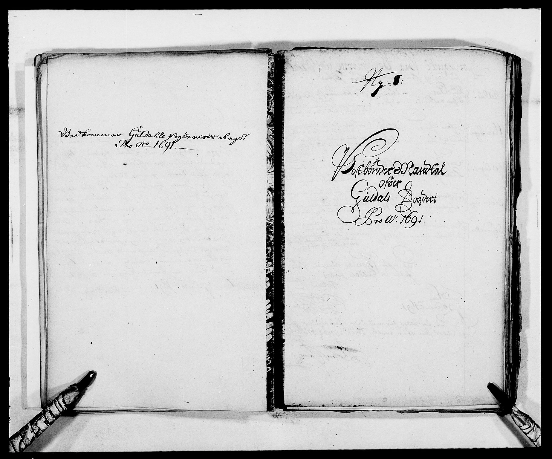 Rentekammeret inntil 1814, Reviderte regnskaper, Fogderegnskap, RA/EA-4092/R59/L3941: Fogderegnskap Gauldal, 1691, p. 197