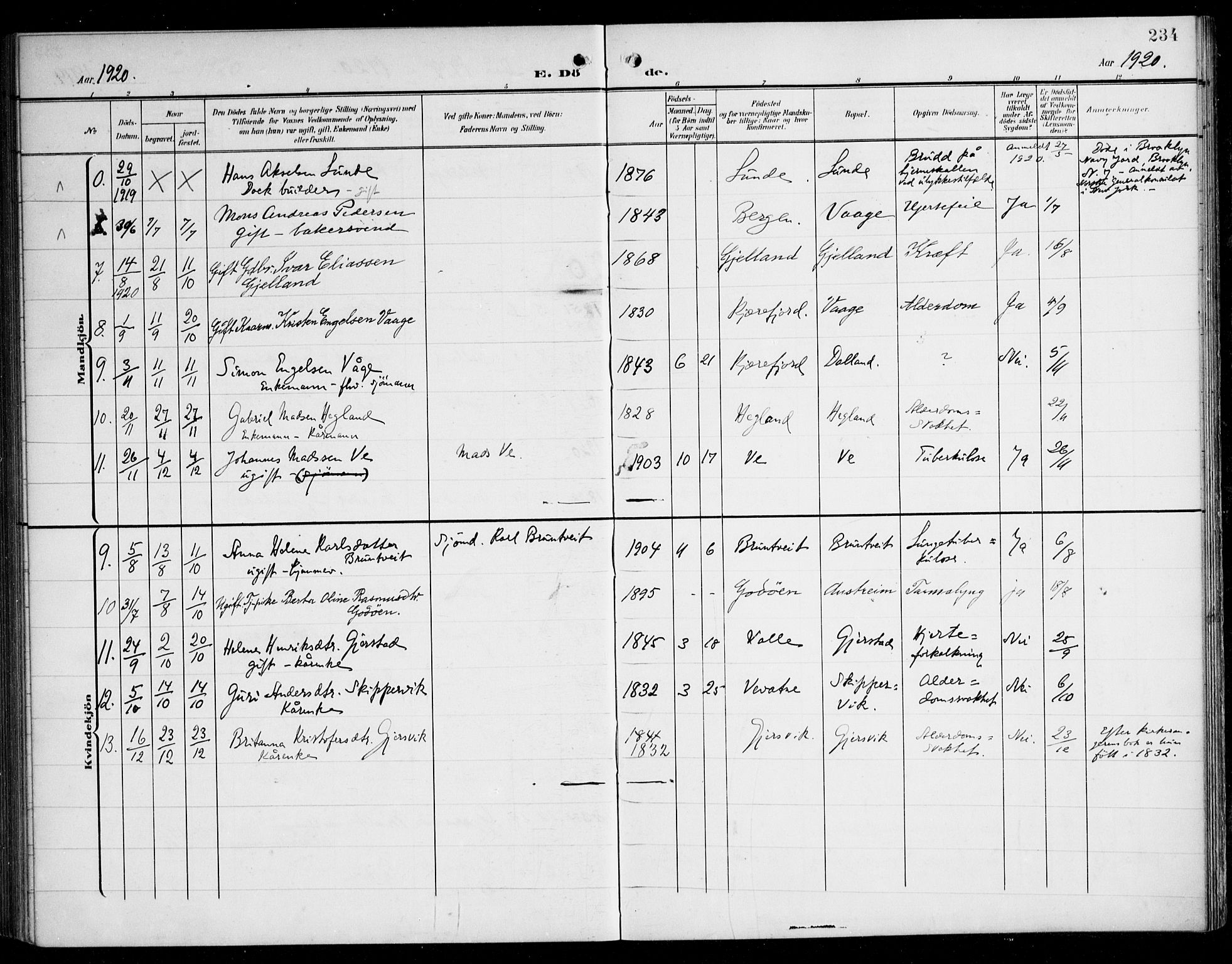 Tysnes sokneprestembete, AV/SAB-A-78601/H/Haa: Parish register (official) no. B 2, 1907-1925, p. 234