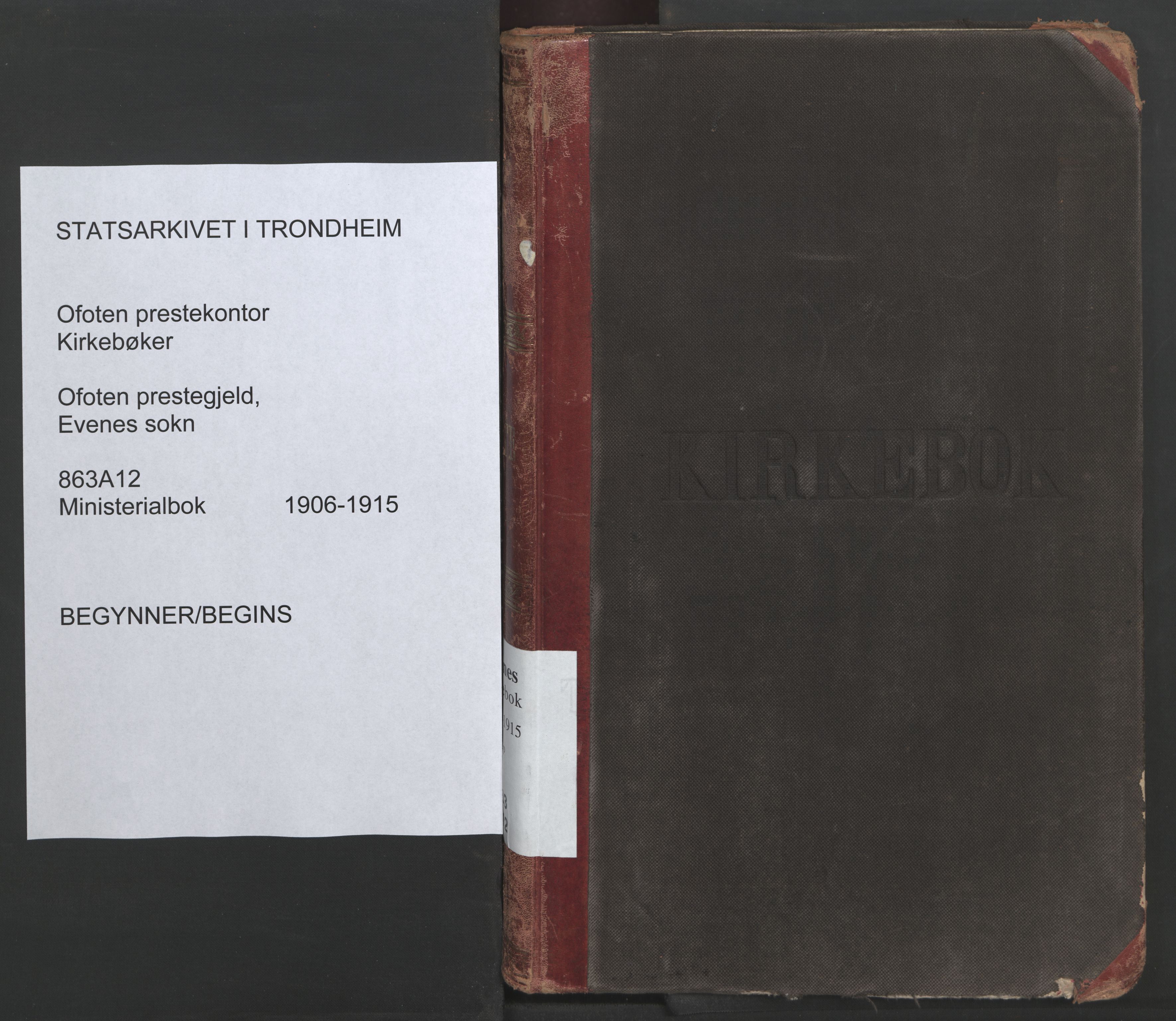 Ministerialprotokoller, klokkerbøker og fødselsregistre - Nordland, AV/SAT-A-1459/863/L0900: Parish register (official) no. 863A12, 1906-1915