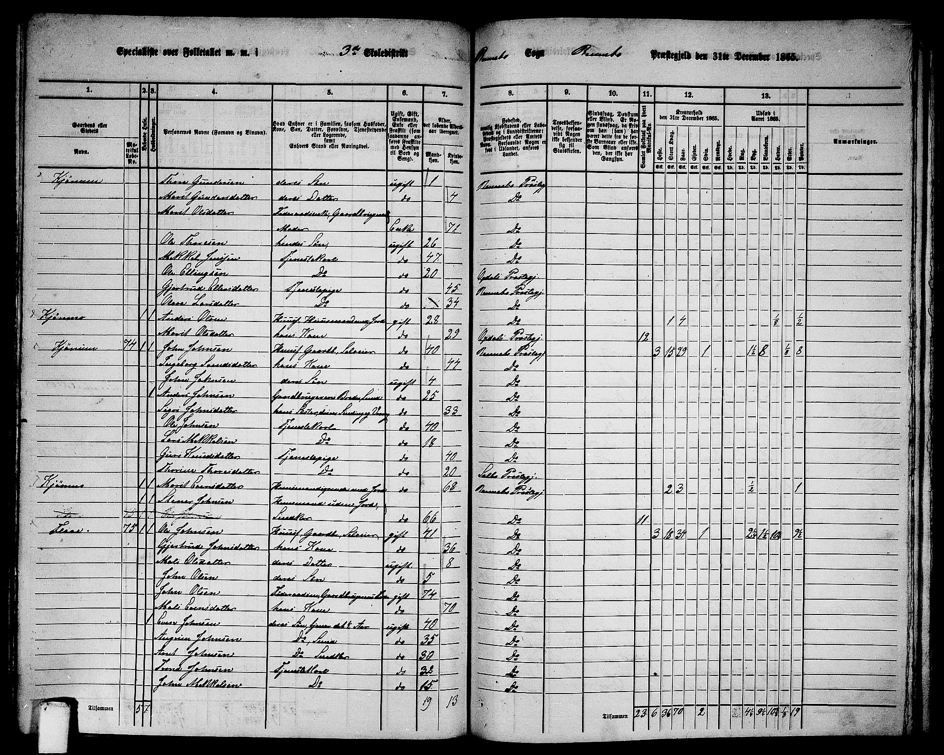 RA, 1865 census for Rennebu, 1865, p. 46