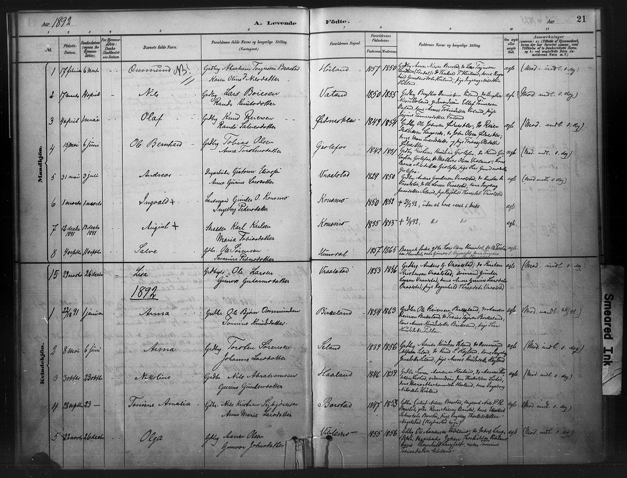 Nord-Audnedal sokneprestkontor, SAK/1111-0032/F/Fa/Faa/L0003: Parish register (official) no. A 3, 1882-1900, p. 21