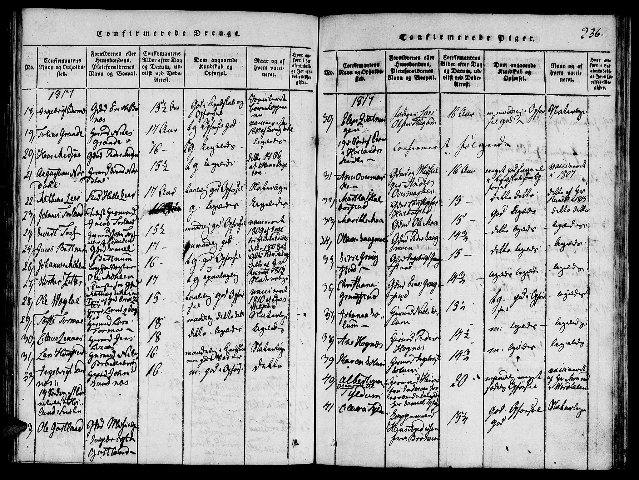 Ministerialprotokoller, klokkerbøker og fødselsregistre - Nord-Trøndelag, AV/SAT-A-1458/764/L0546: Parish register (official) no. 764A06 /1, 1816-1823, p. 236