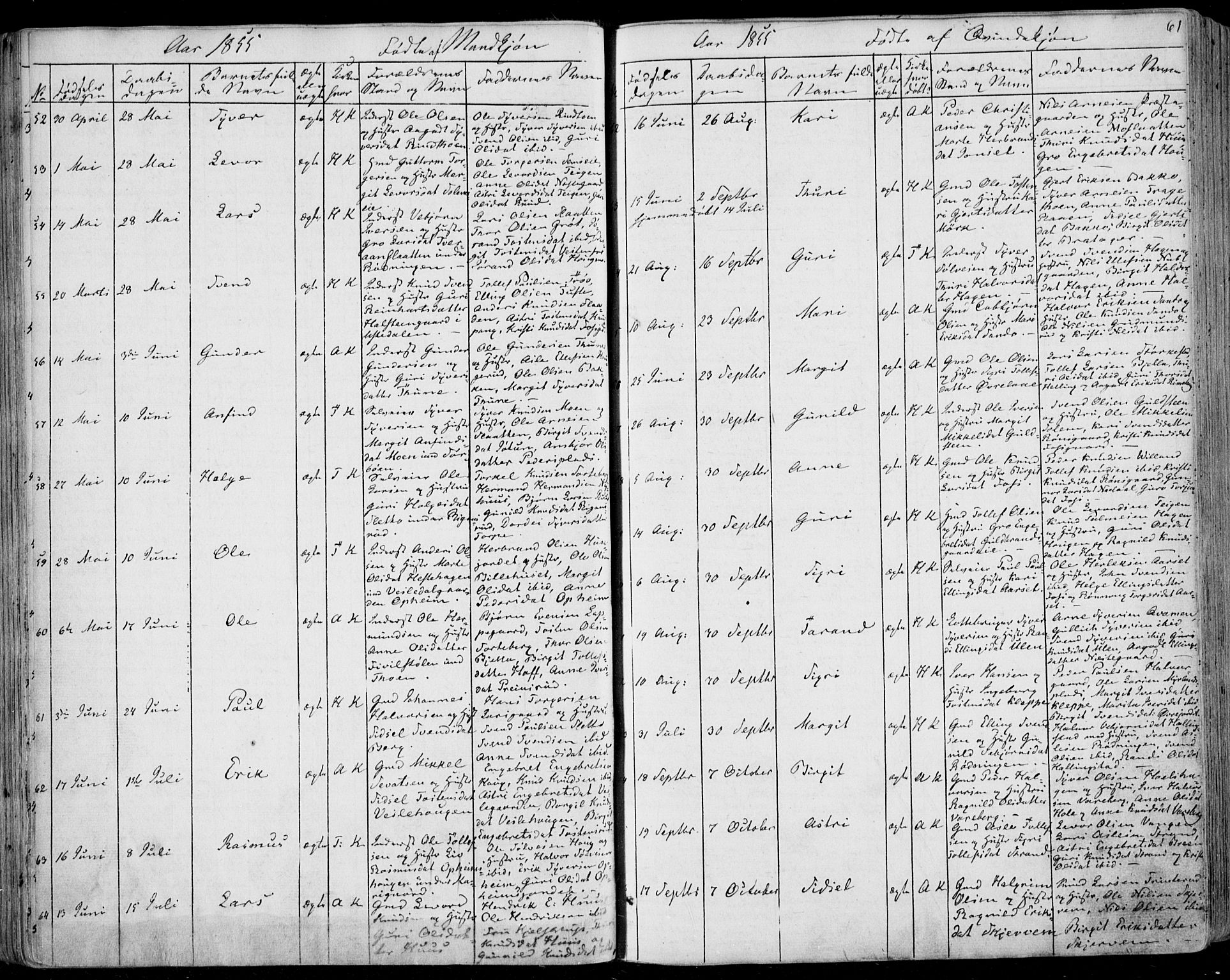 Ål kirkebøker, AV/SAKO-A-249/F/Fa/L0006: Parish register (official) no. I 6, 1849-1864, p. 61