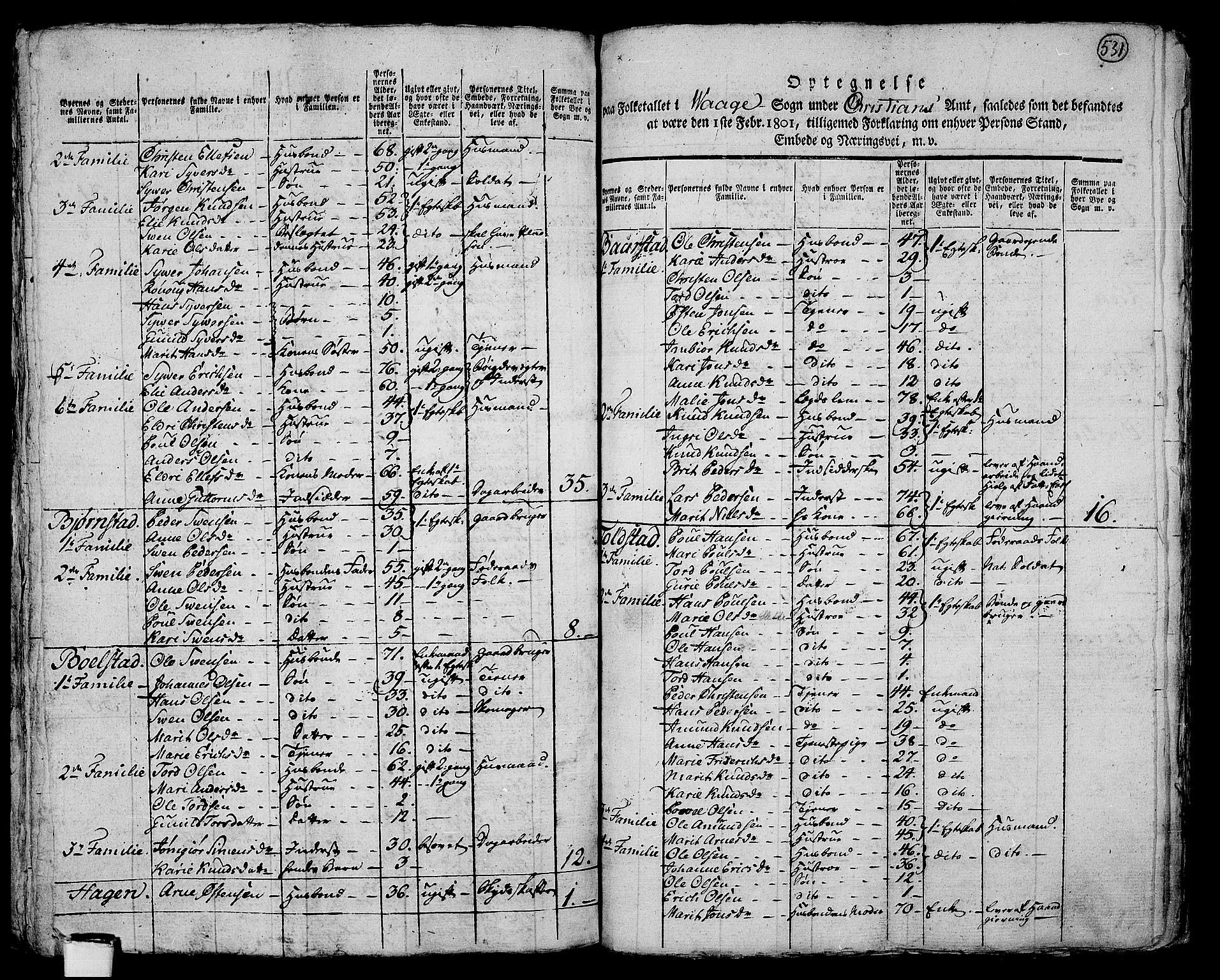 RA, 1801 census for 0515P Vågå, 1801, p. 530b-531a