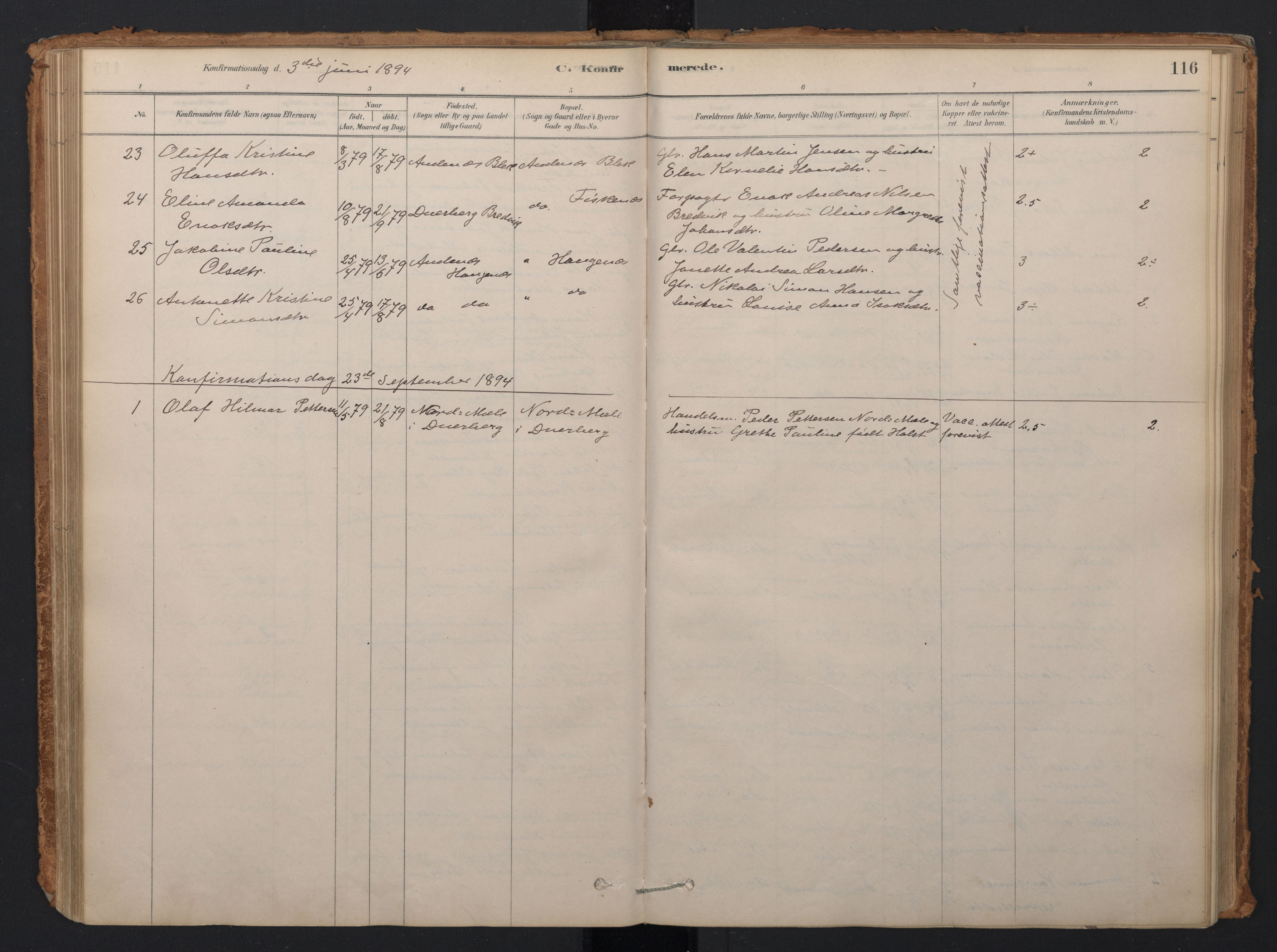 Ministerialprotokoller, klokkerbøker og fødselsregistre - Nordland, AV/SAT-A-1459/897/L1399: Parish register (official) no. 897A06, 1881-1896, p. 116