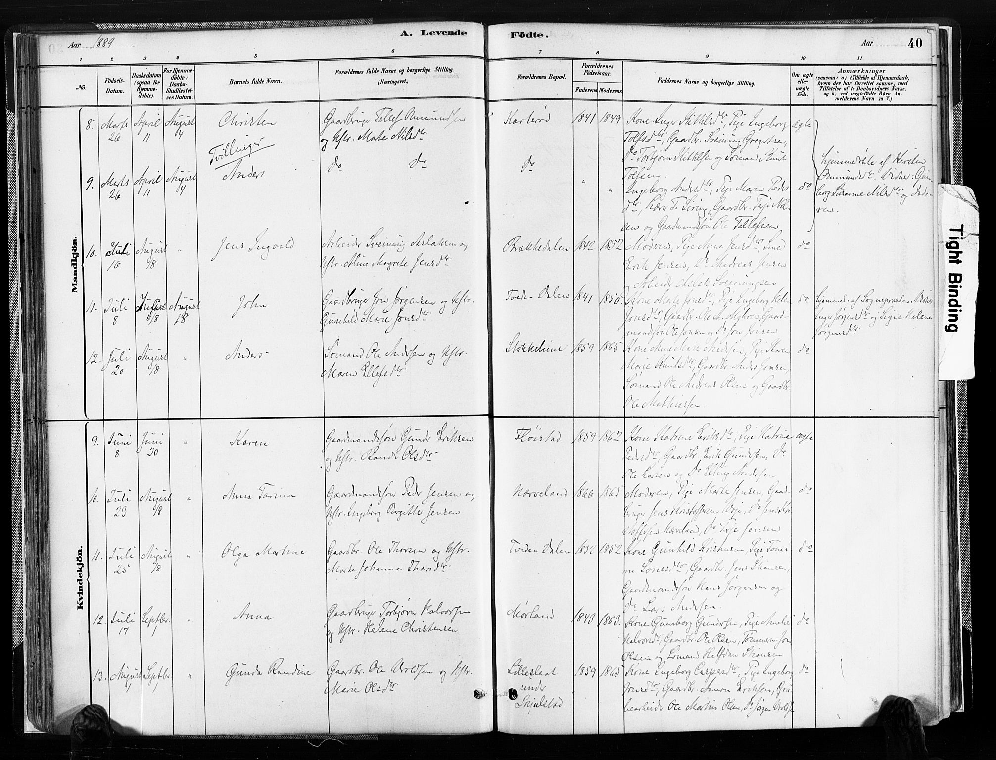Austre Moland sokneprestkontor, SAK/1111-0001/F/Fa/Faa/L0010: Parish register (official) no. A 10, 1880-1904, p. 40
