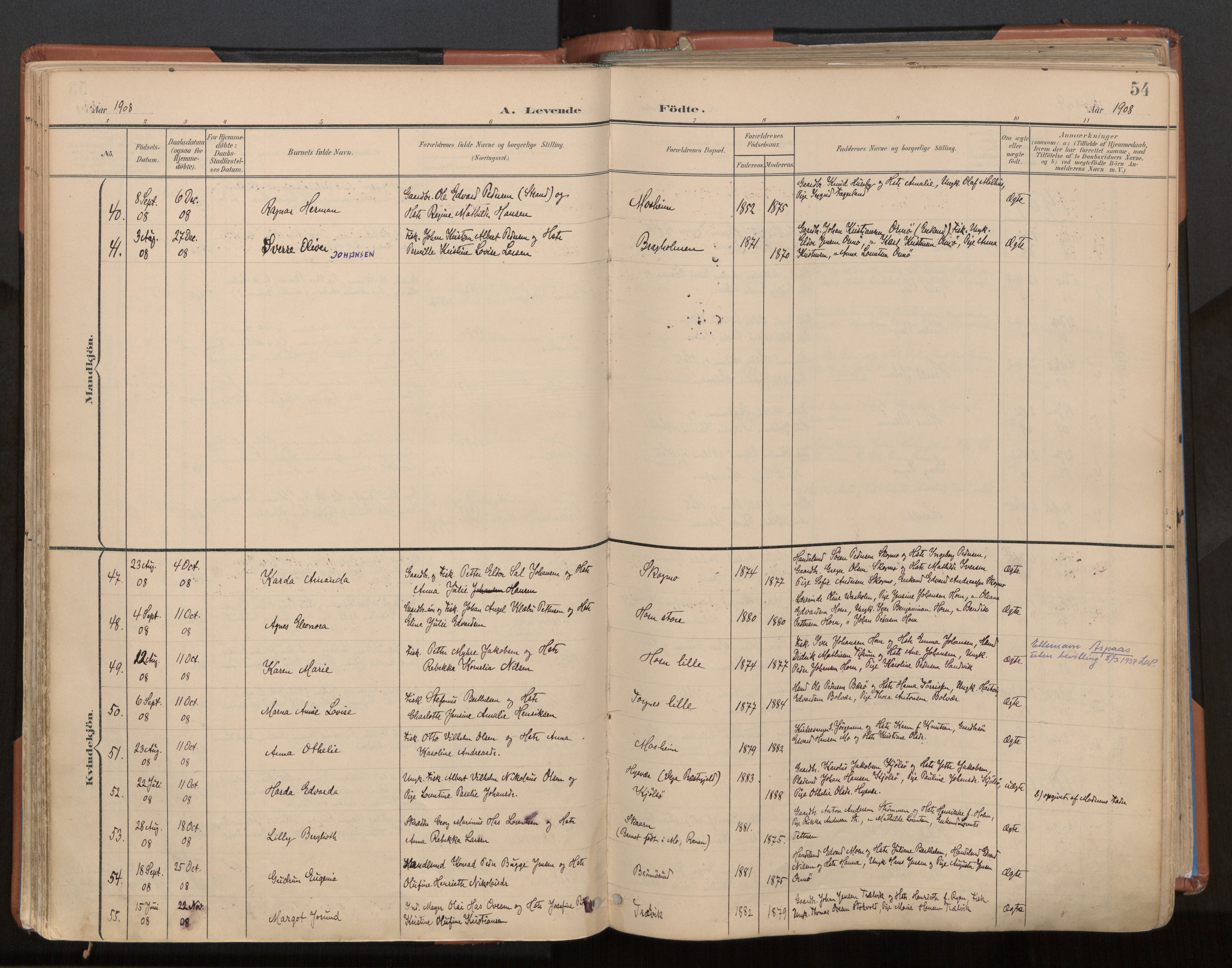 Ministerialprotokoller, klokkerbøker og fødselsregistre - Nordland, SAT/A-1459/813/L0201: Parish register (official) no. 813A11, 1901-1918, p. 54