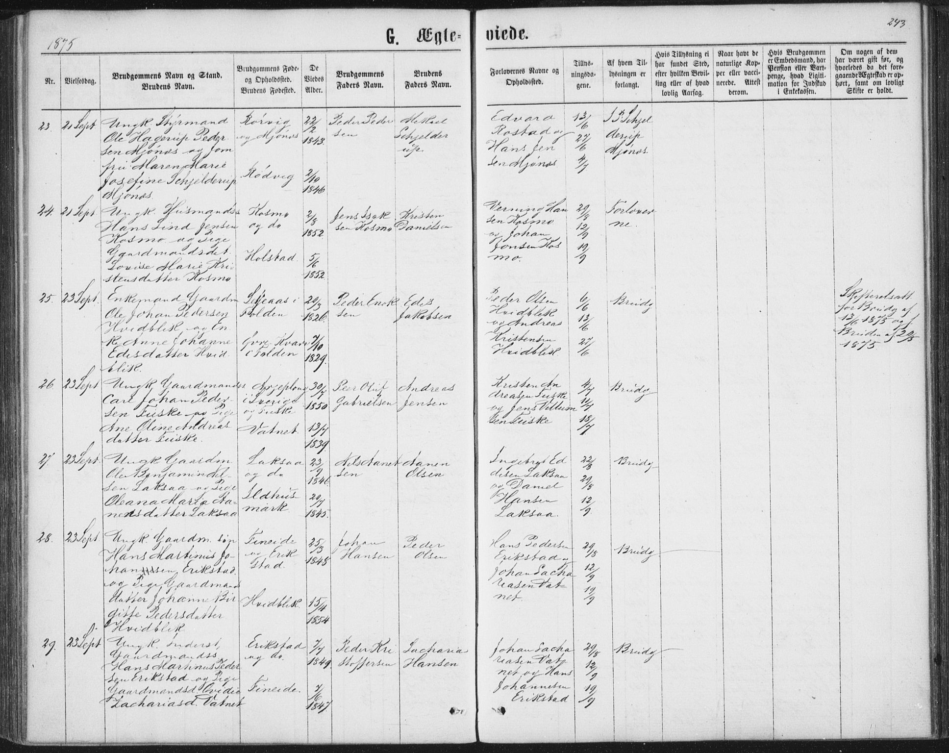 Ministerialprotokoller, klokkerbøker og fødselsregistre - Nordland, AV/SAT-A-1459/852/L0739: Parish register (official) no. 852A09, 1866-1877, p. 243