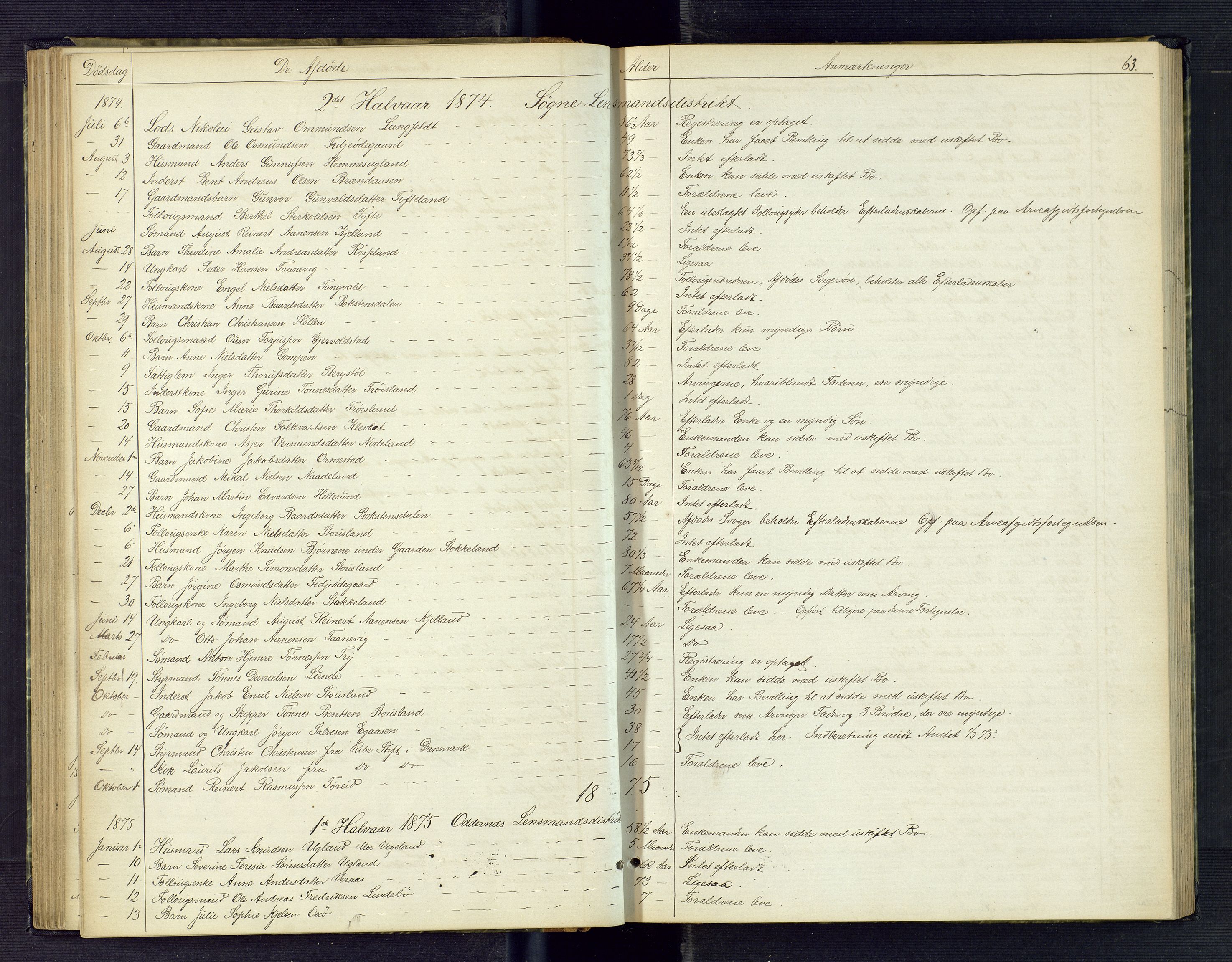 Torridal sorenskriveri, AV/SAK-1221-0012/H/Ha/L0001: Anmeldte dødsfall nr. 1, 1865-1880, p. 63