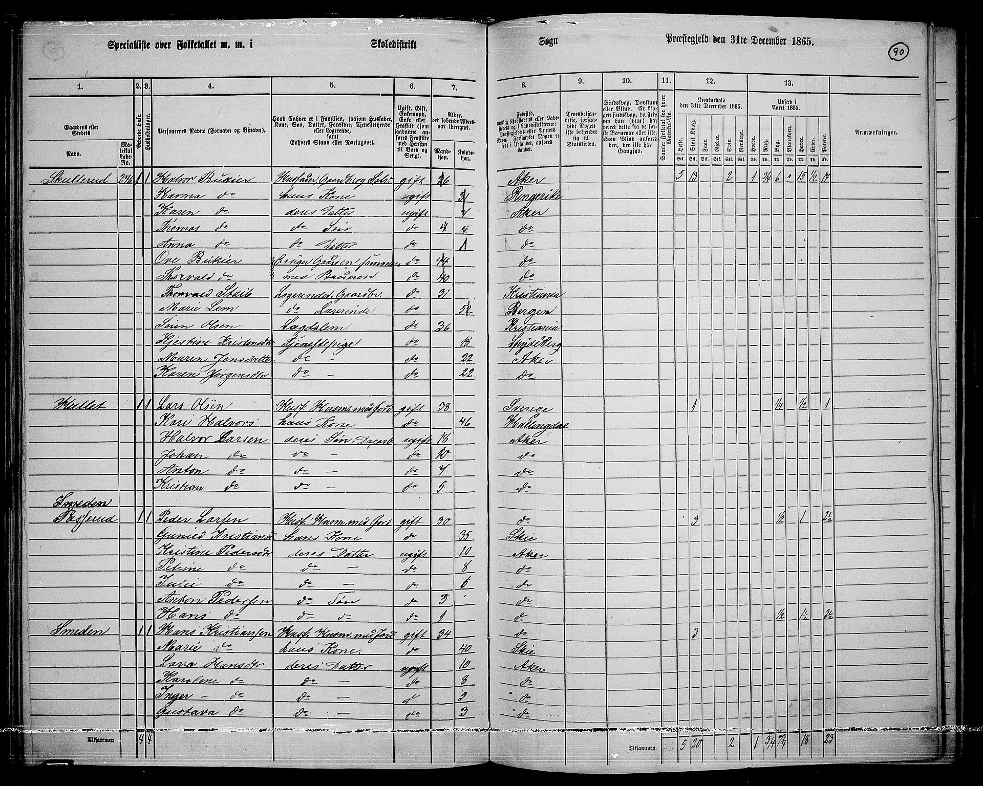 RA, 1865 census for Østre Aker, 1865, p. 314