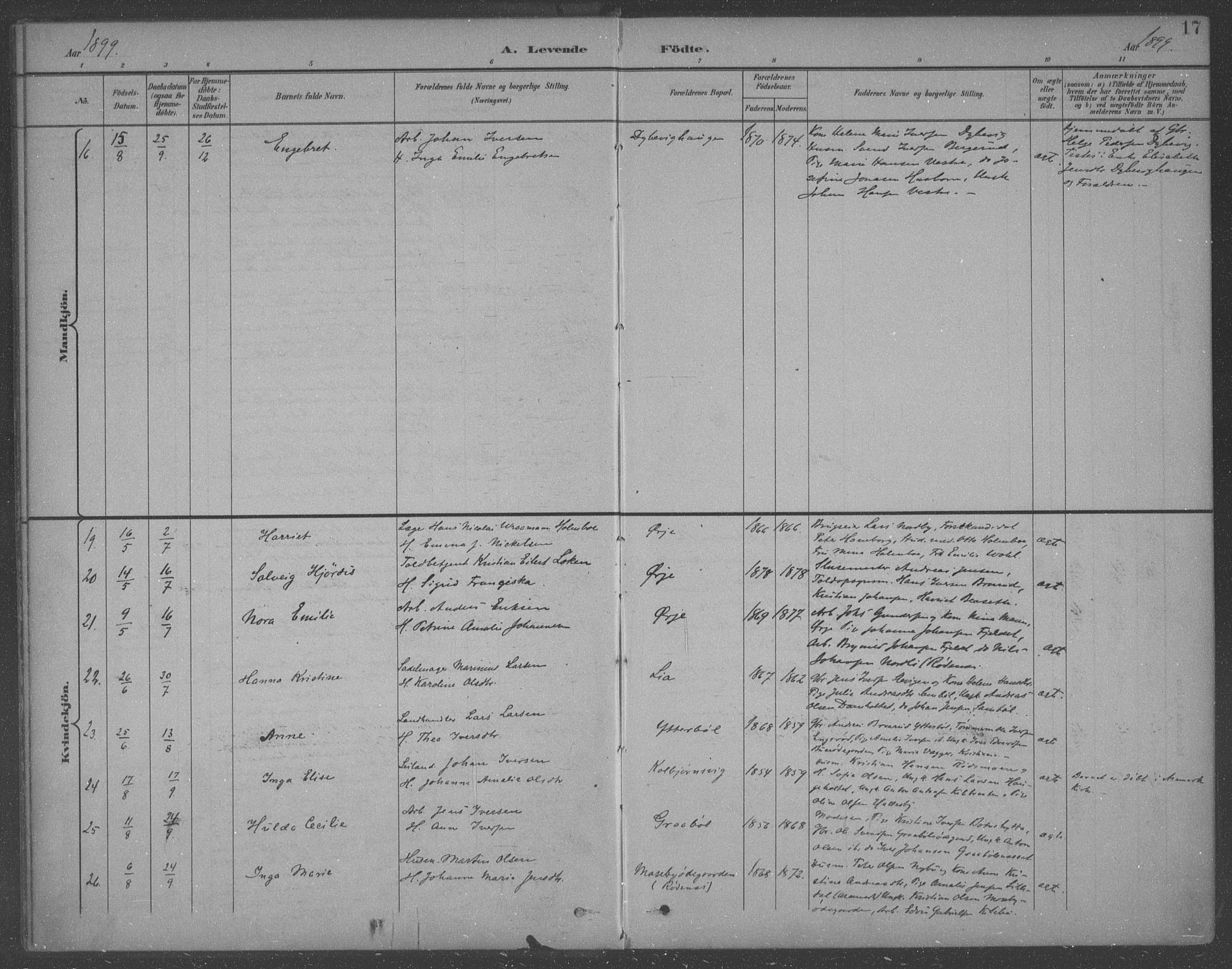 Aremark prestekontor Kirkebøker, AV/SAO-A-10899/F/Fb/L0005: Parish register (official) no. II 5, 1895-1919, p. 17