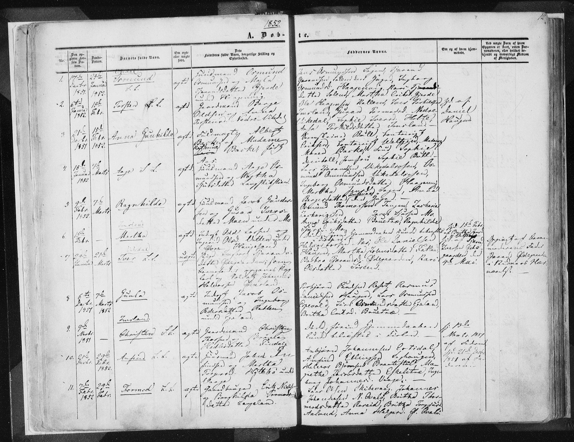 Vikedal sokneprestkontor, SAST/A-101840/01/IV: Parish register (official) no. A 6.1, 1851-1867, p. 12
