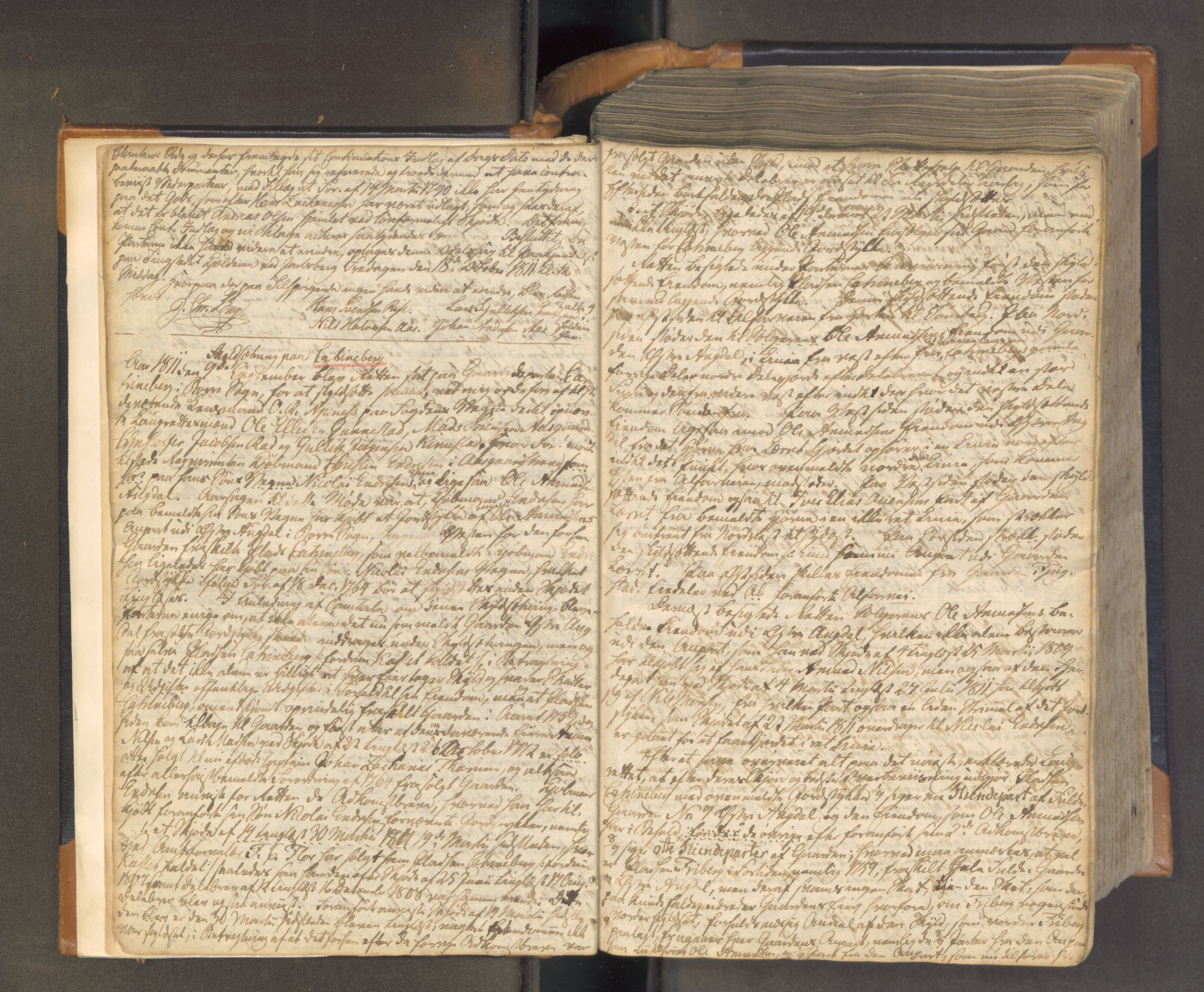 Søndre Jarlsberg sorenskriveri, AV/SAKO-A-129/F/Fa/L0028: Tingbok, 1811-1819, p. 4b-5a
