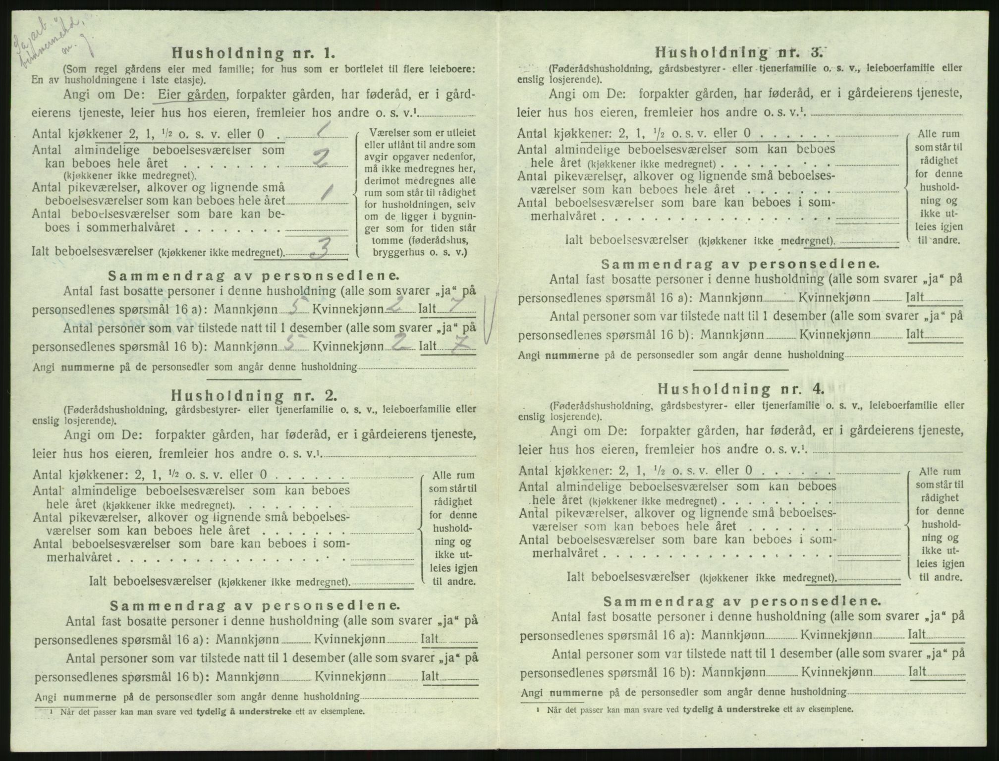 SAK, 1920 census for Hornnes, 1920, p. 420