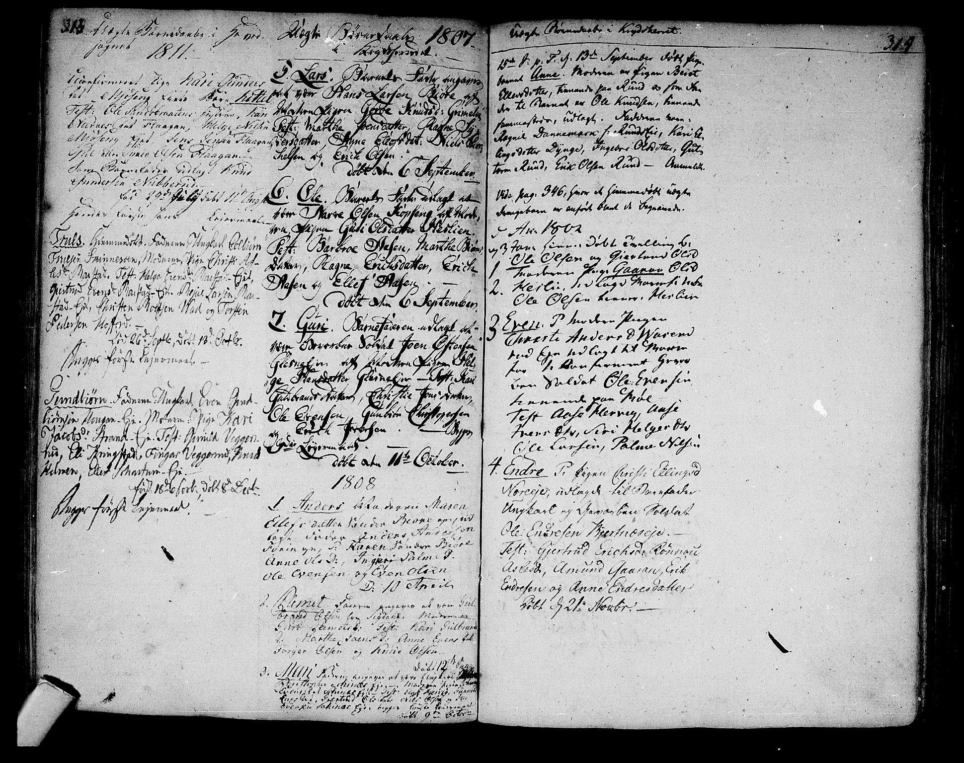 Sigdal kirkebøker, SAKO/A-245/F/Fa/L0003: Parish register (official) no. I 3, 1793-1811, p. 313-314