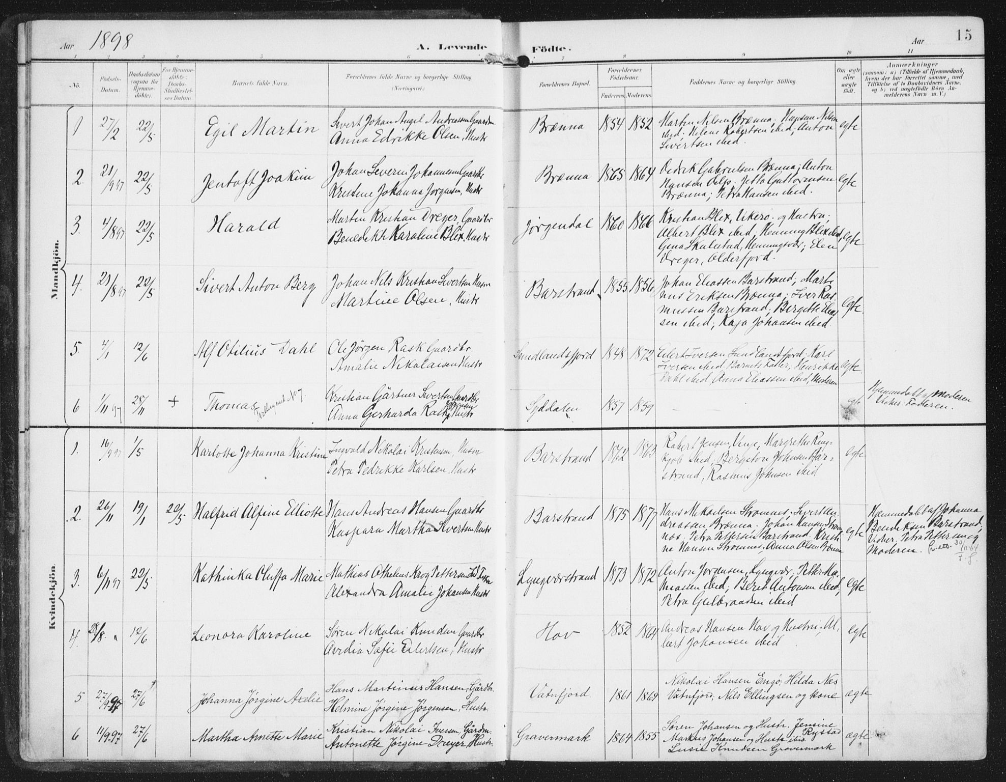 Ministerialprotokoller, klokkerbøker og fødselsregistre - Nordland, SAT/A-1459/876/L1098: Parish register (official) no. 876A04, 1896-1915, p. 15
