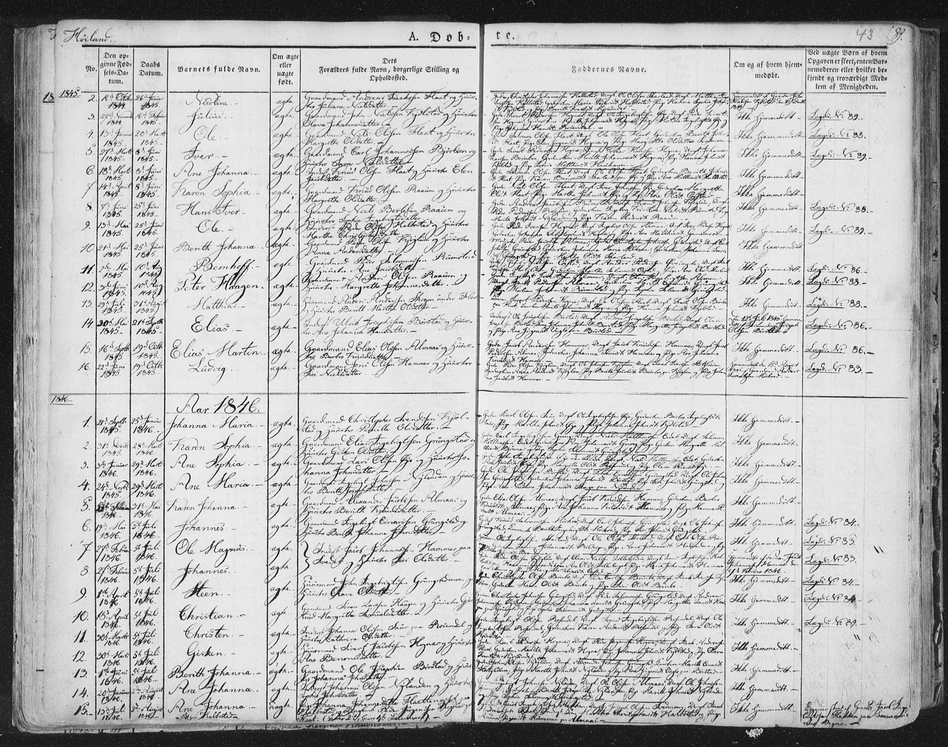 Ministerialprotokoller, klokkerbøker og fødselsregistre - Nord-Trøndelag, SAT/A-1458/758/L0513: Parish register (official) no. 758A02 /2, 1839-1868, p. 43
