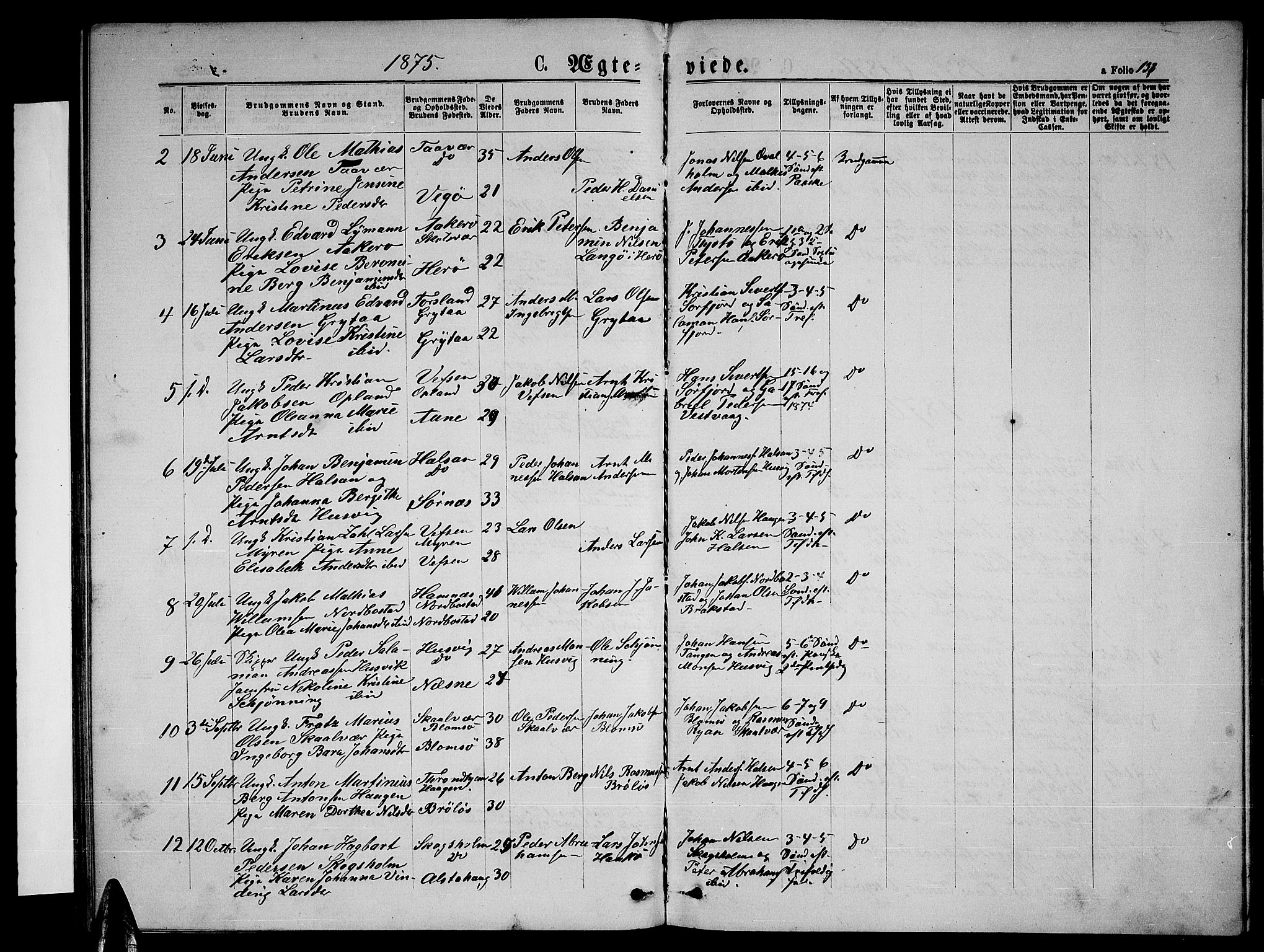 Ministerialprotokoller, klokkerbøker og fødselsregistre - Nordland, AV/SAT-A-1459/817/L0267: Parish register (copy) no. 817C02, 1870-1883, p. 133