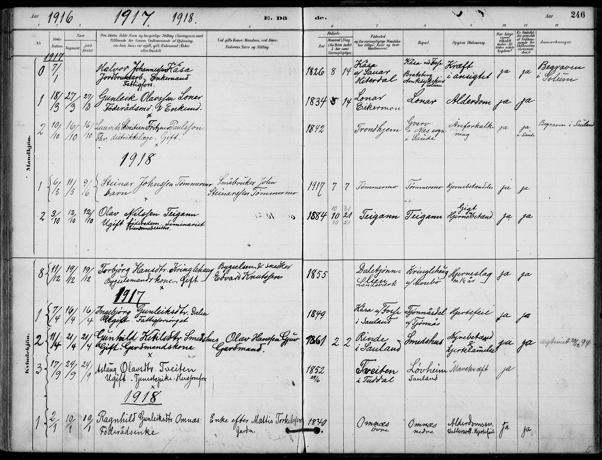 Hjartdal kirkebøker, SAKO/A-270/F/Fb/L0002: Parish register (official) no. II 2, 1880-1932, p. 246