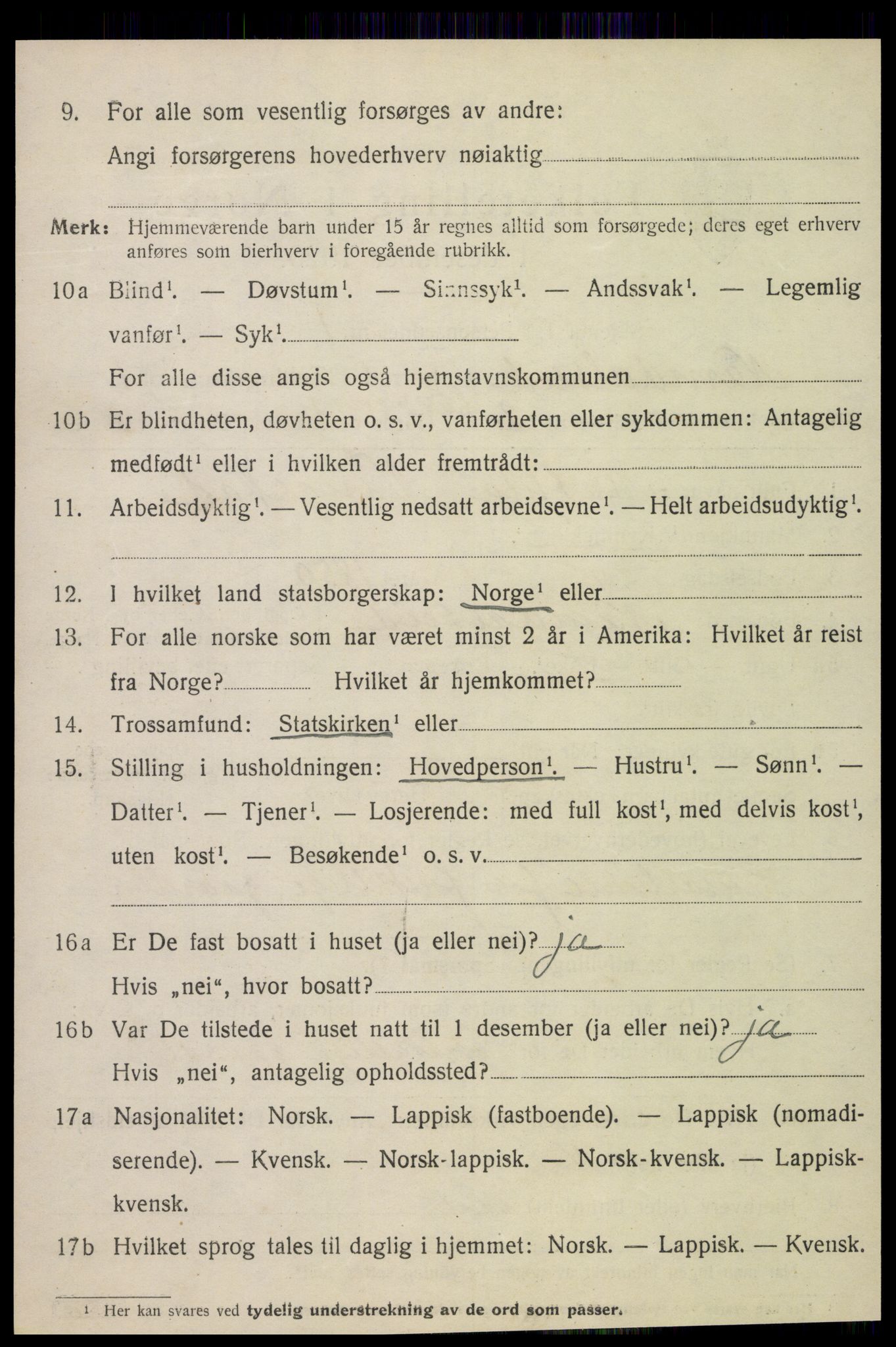 SAT, 1920 census for Namdalseid, 1920, p. 531