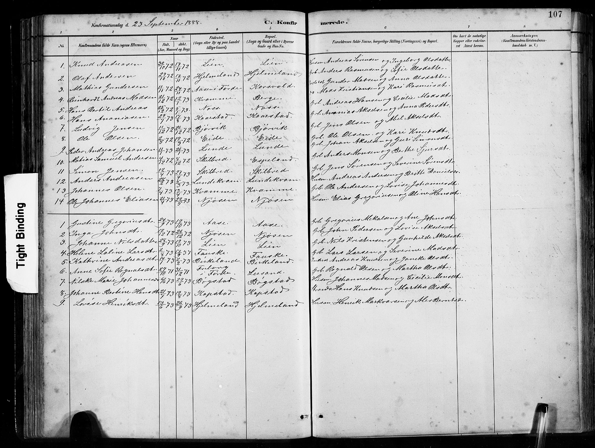 Gaular sokneprestembete, SAB/A-80001/H/Hab: Parish register (copy) no. B 3, 1882-1913, p. 107