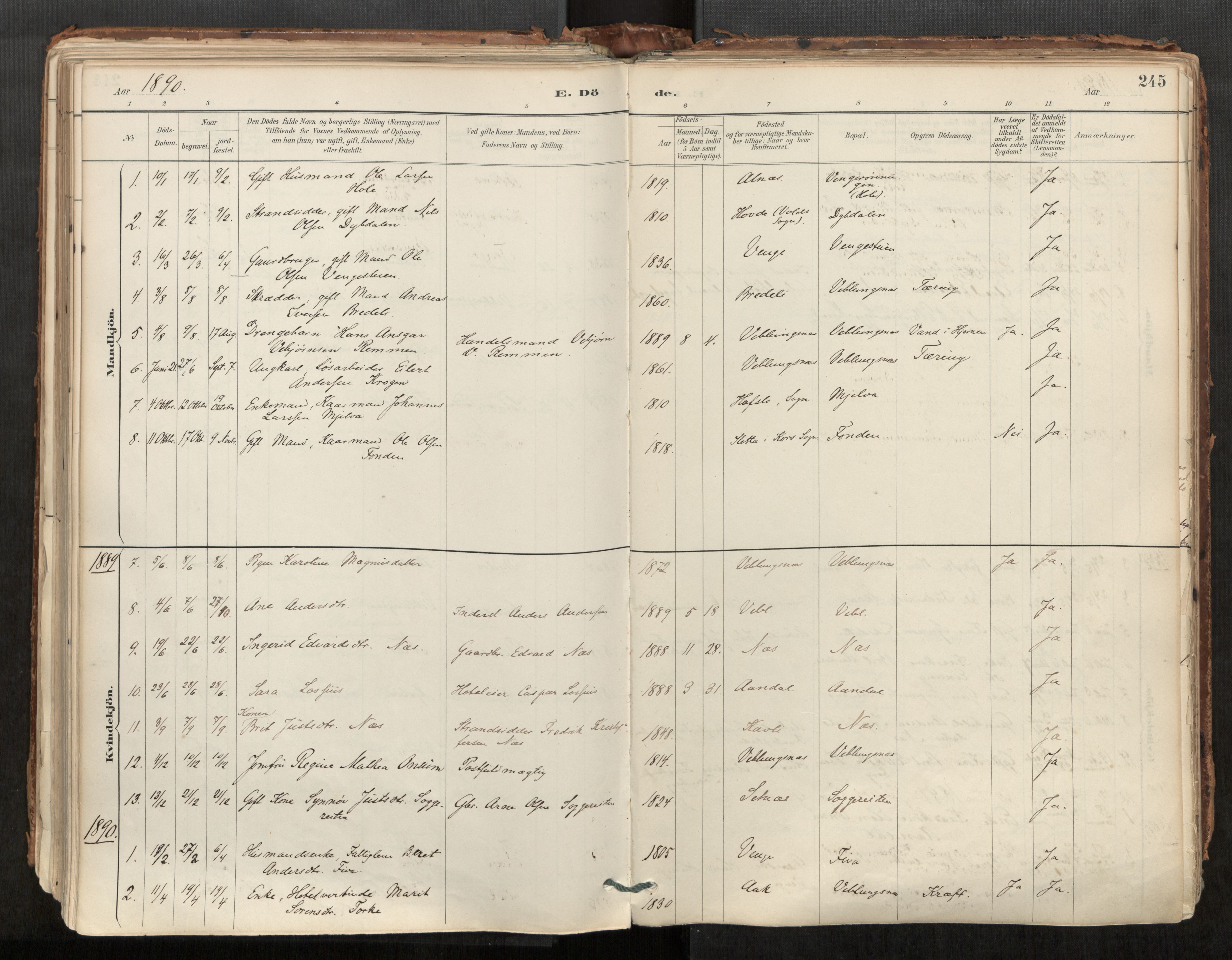 Ministerialprotokoller, klokkerbøker og fødselsregistre - Møre og Romsdal, AV/SAT-A-1454/544/L0585: Parish register (official) no. 544A06, 1887-1924, p. 245