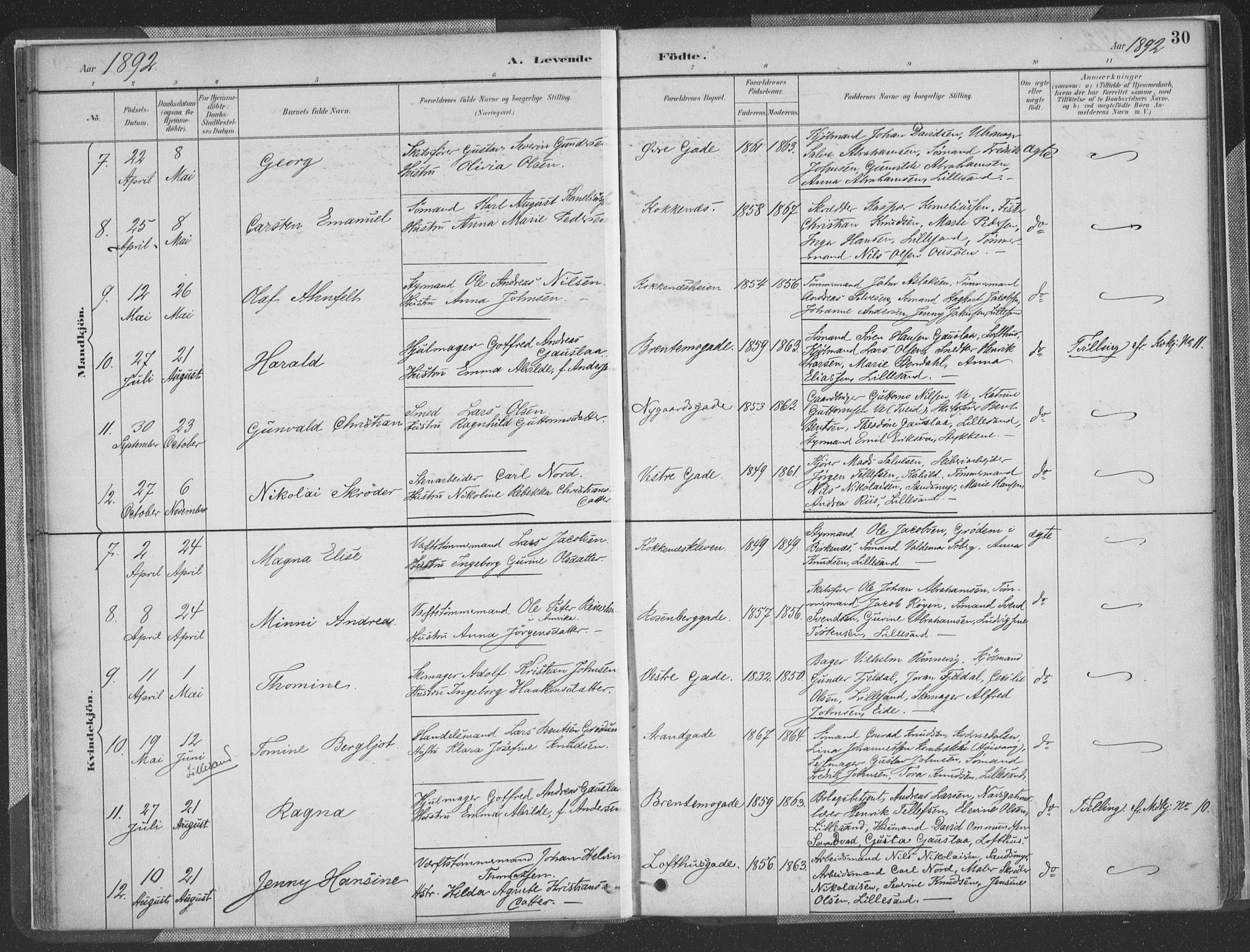 Vestre Moland sokneprestkontor, AV/SAK-1111-0046/F/Fa/Faa/L0001: Parish register (official) no. A 1, 1884-1899, p. 31