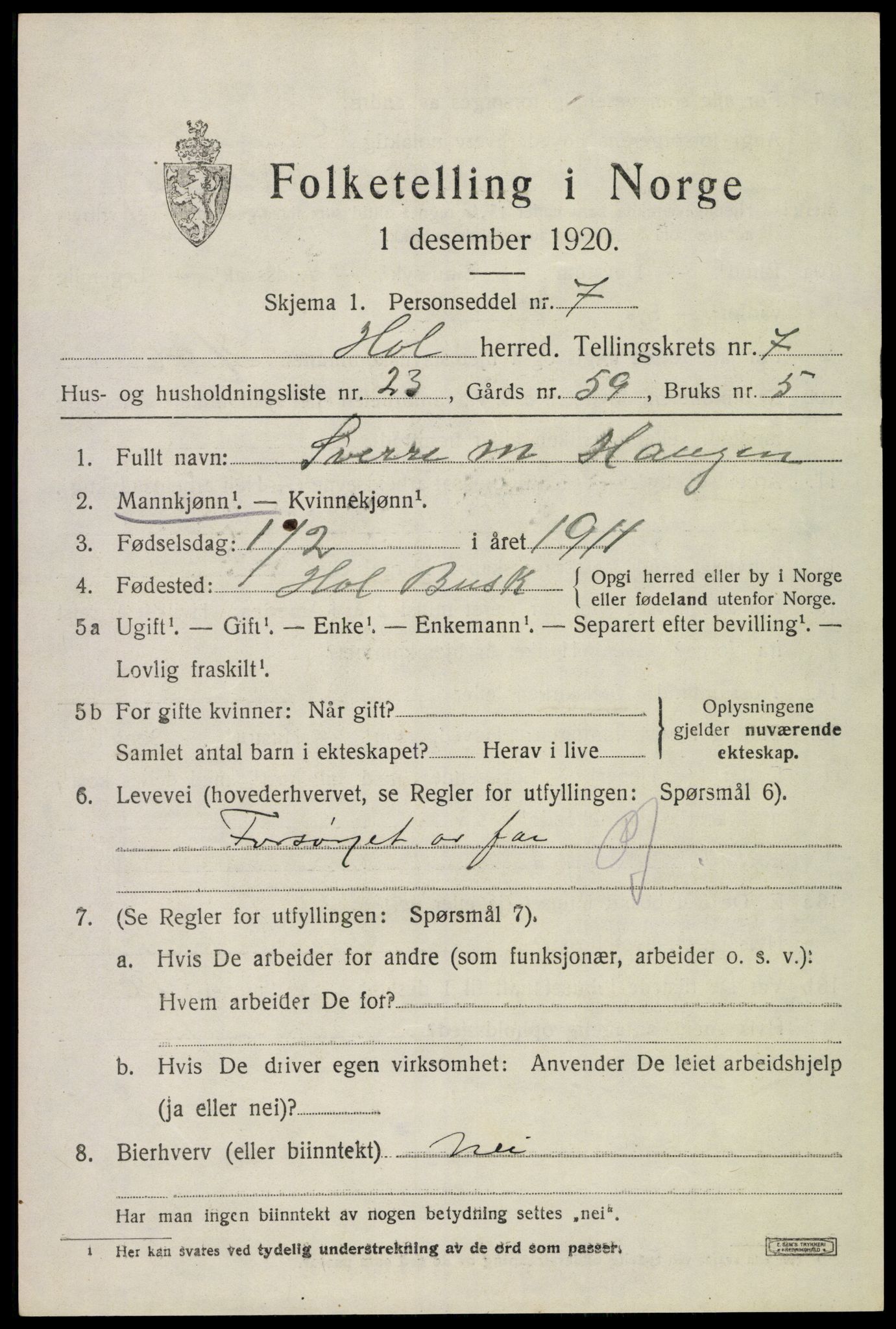 SAKO, 1920 census for Hol (Buskerud), 1920, p. 3799