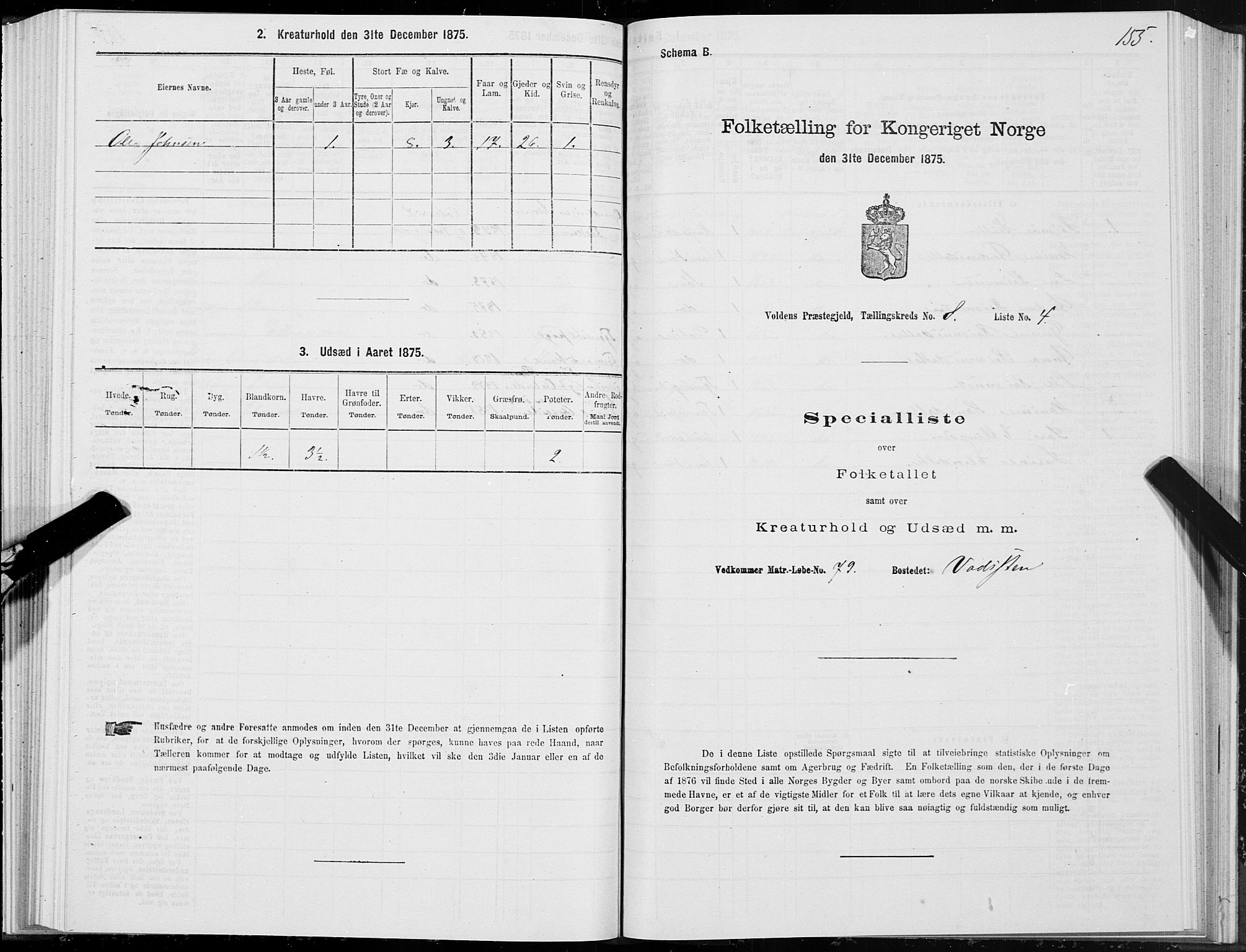 SAT, 1875 census for 1519P Volda, 1875, p. 5155