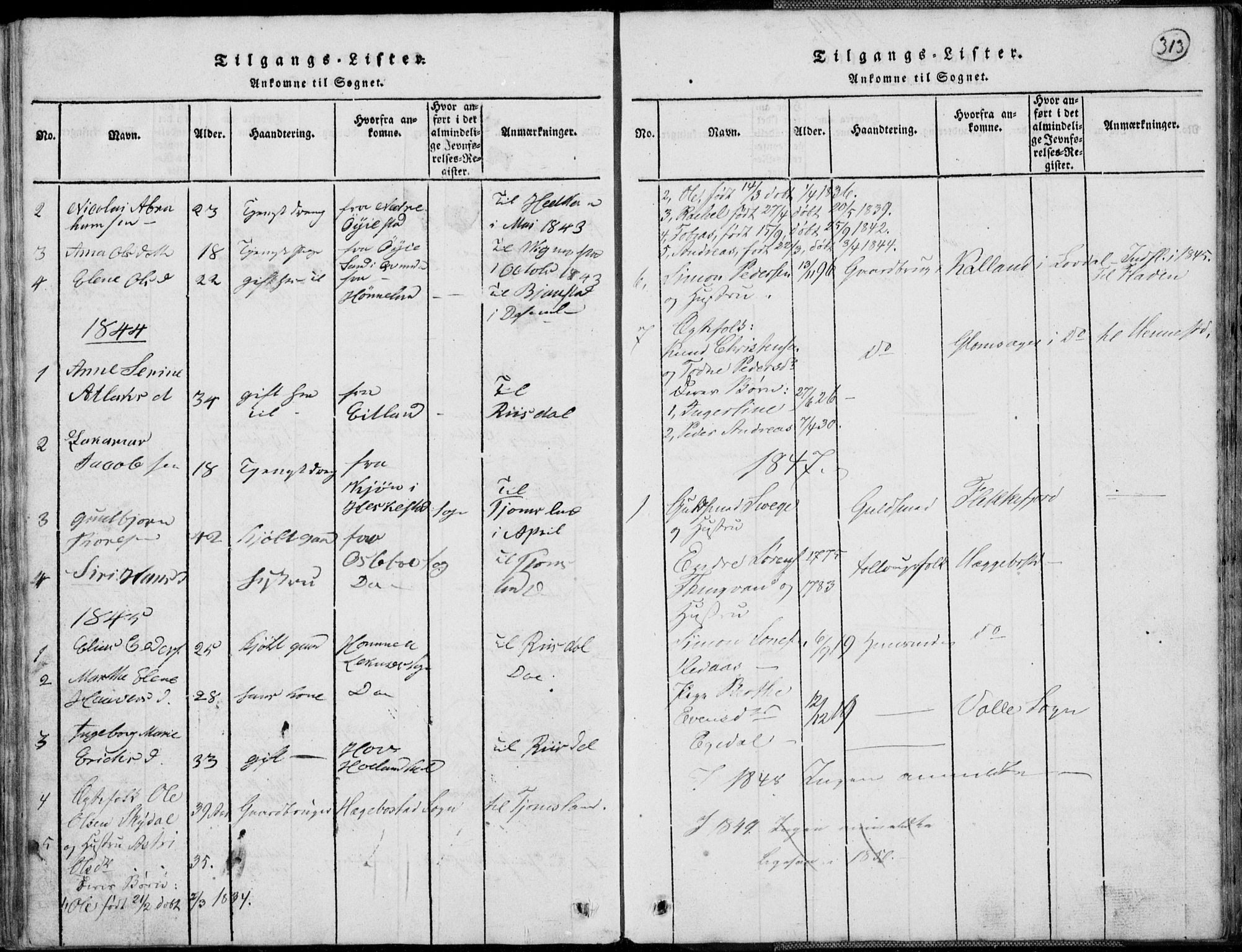 Nord-Audnedal sokneprestkontor, SAK/1111-0032/F/Fb/Fbb/L0001: Parish register (copy) no. B 1, 1816-1858, p. 313