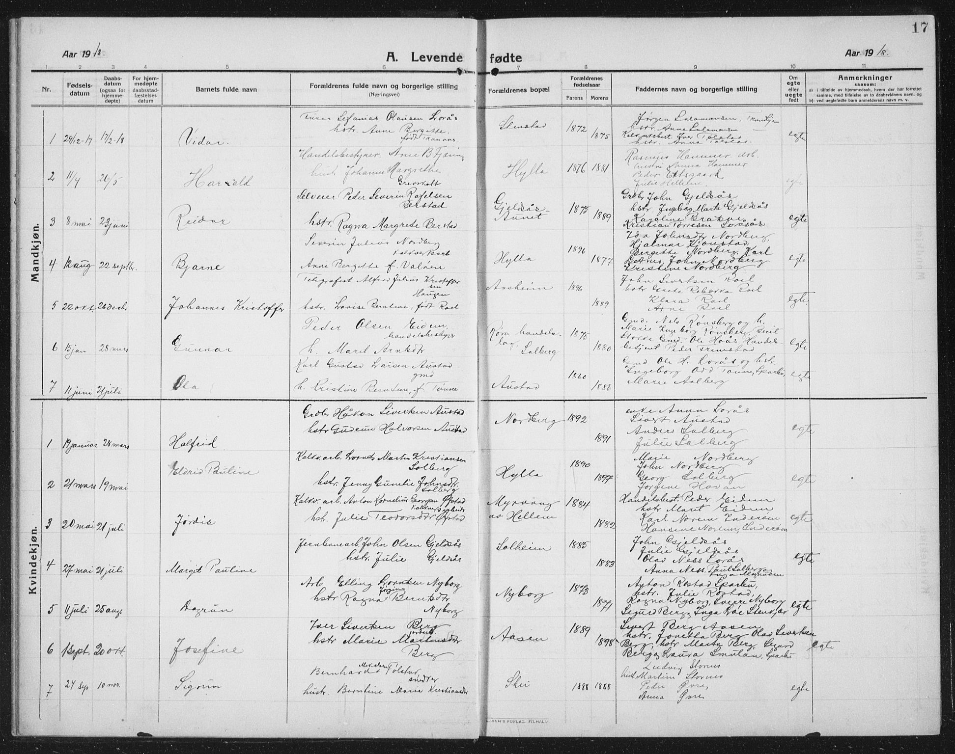 Ministerialprotokoller, klokkerbøker og fødselsregistre - Nord-Trøndelag, SAT/A-1458/731/L0312: Parish register (copy) no. 731C03, 1911-1935, p. 17