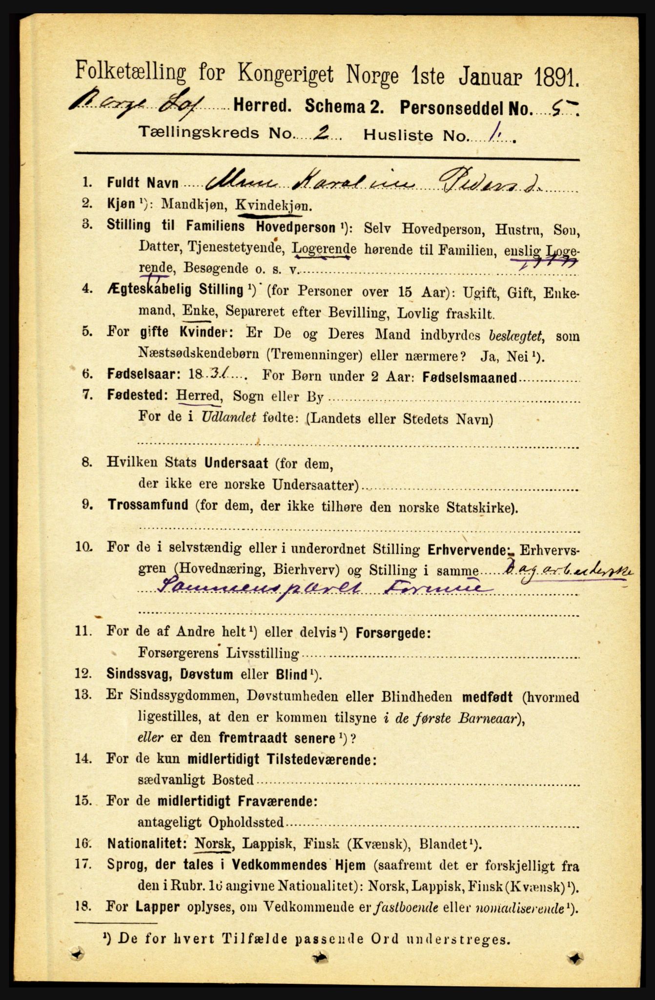 RA, 1891 census for 1862 Borge, 1891, p. 937