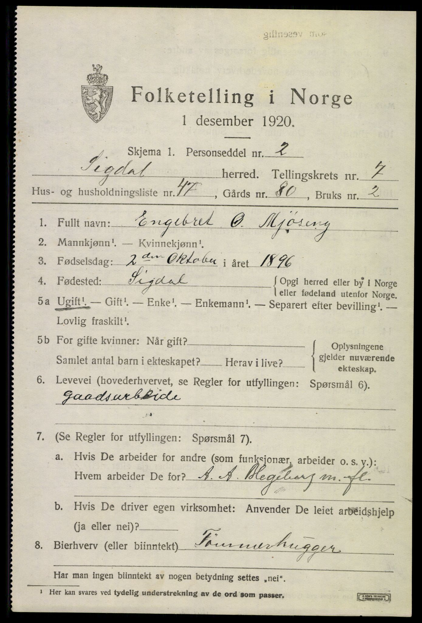 SAKO, 1920 census for Sigdal, 1920, p. 5982