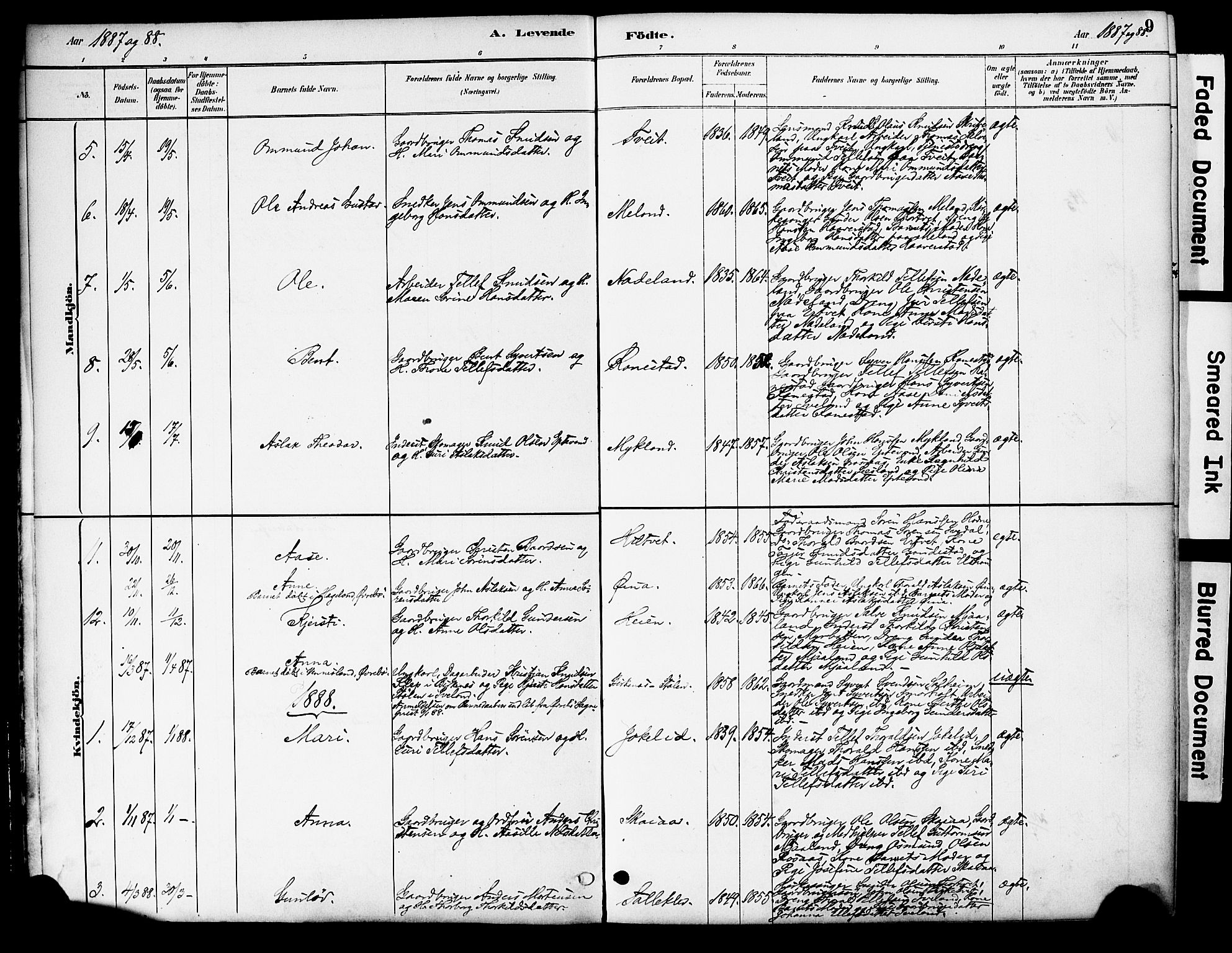 Evje sokneprestkontor, AV/SAK-1111-0008/F/Fa/Fac/L0003: Parish register (official) no. A 3, 1884-1909, p. 9