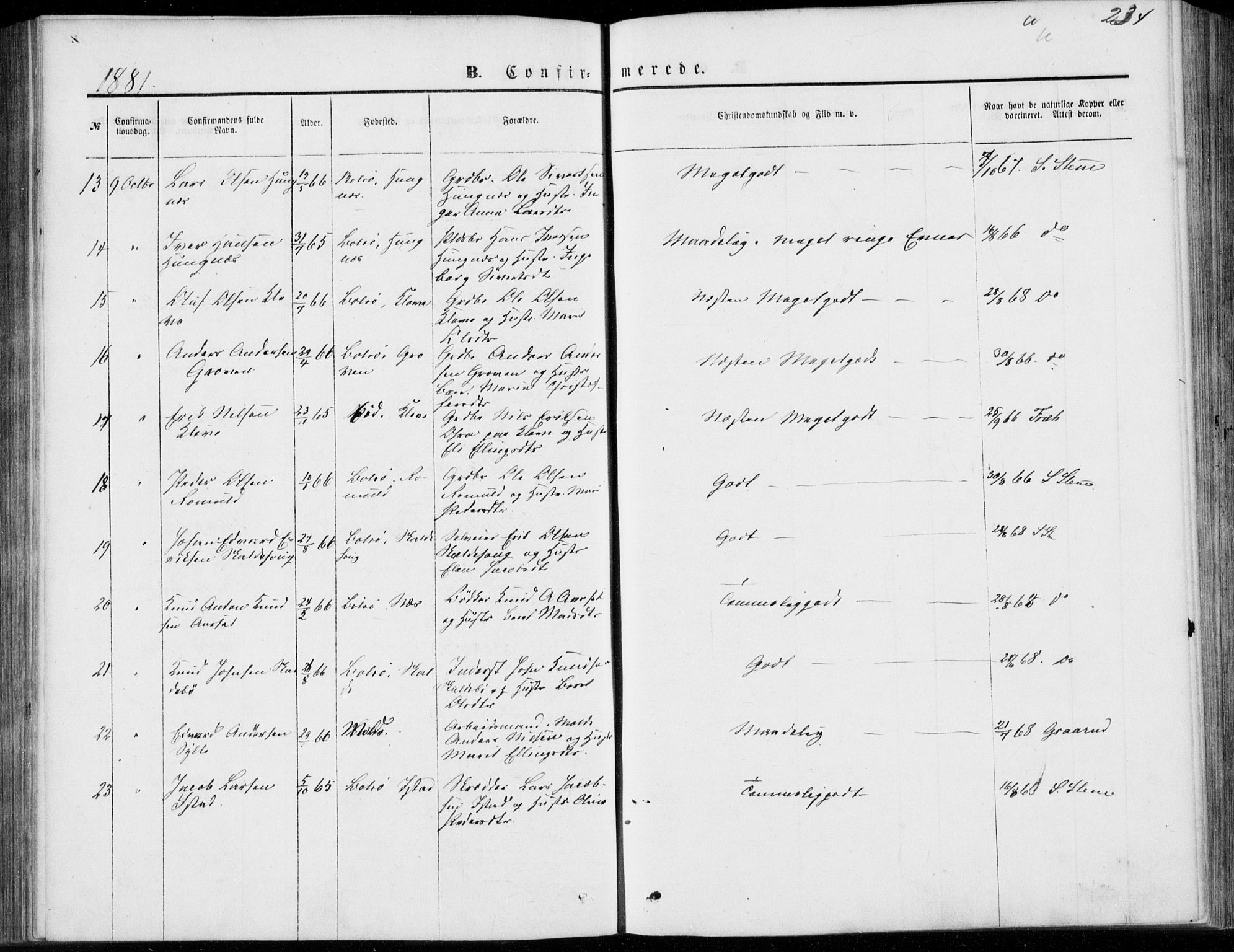 Ministerialprotokoller, klokkerbøker og fødselsregistre - Møre og Romsdal, SAT/A-1454/557/L0681: Parish register (official) no. 557A03, 1869-1886, p. 234