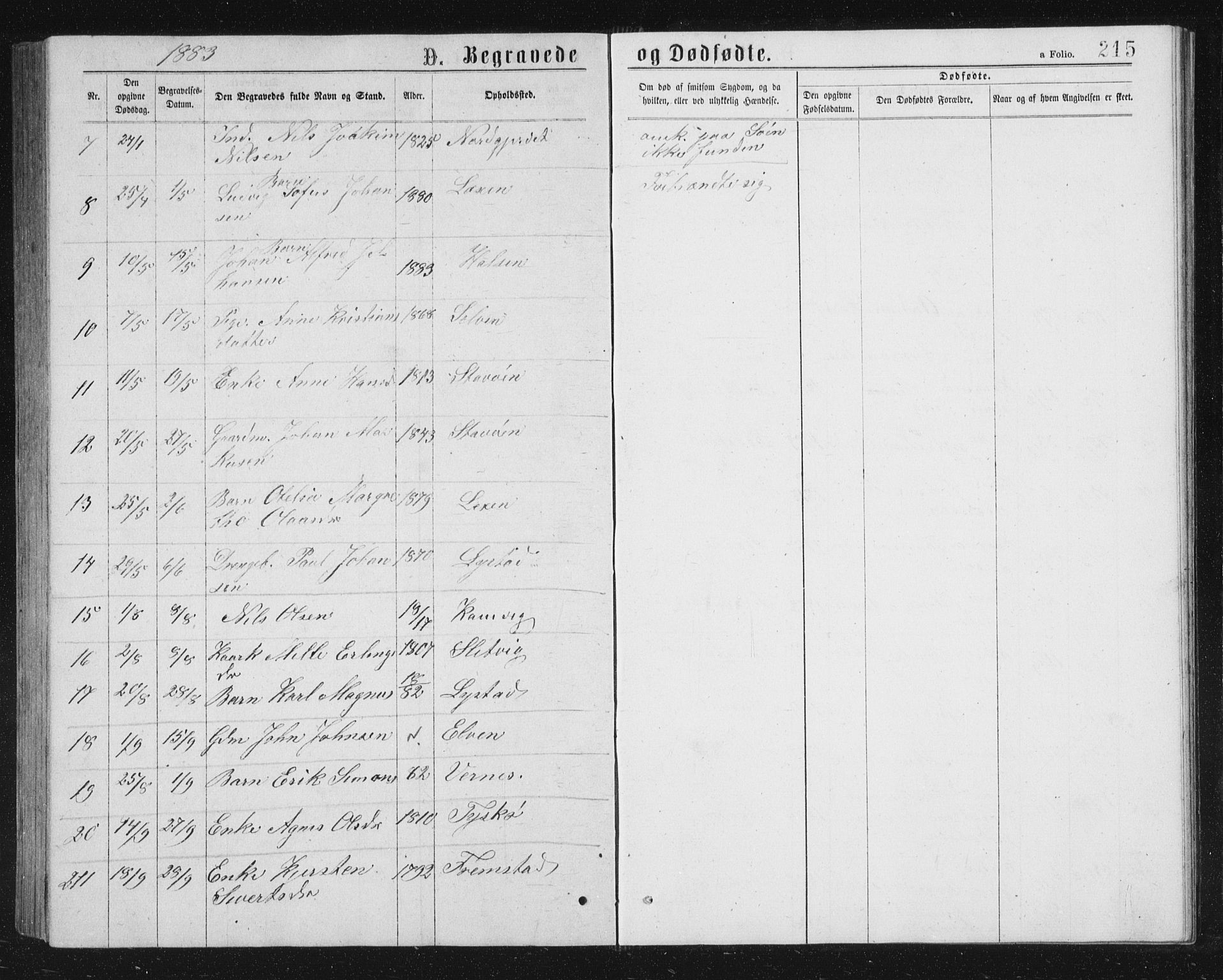 Ministerialprotokoller, klokkerbøker og fødselsregistre - Sør-Trøndelag, SAT/A-1456/662/L0756: Parish register (copy) no. 662C01, 1869-1891, p. 215