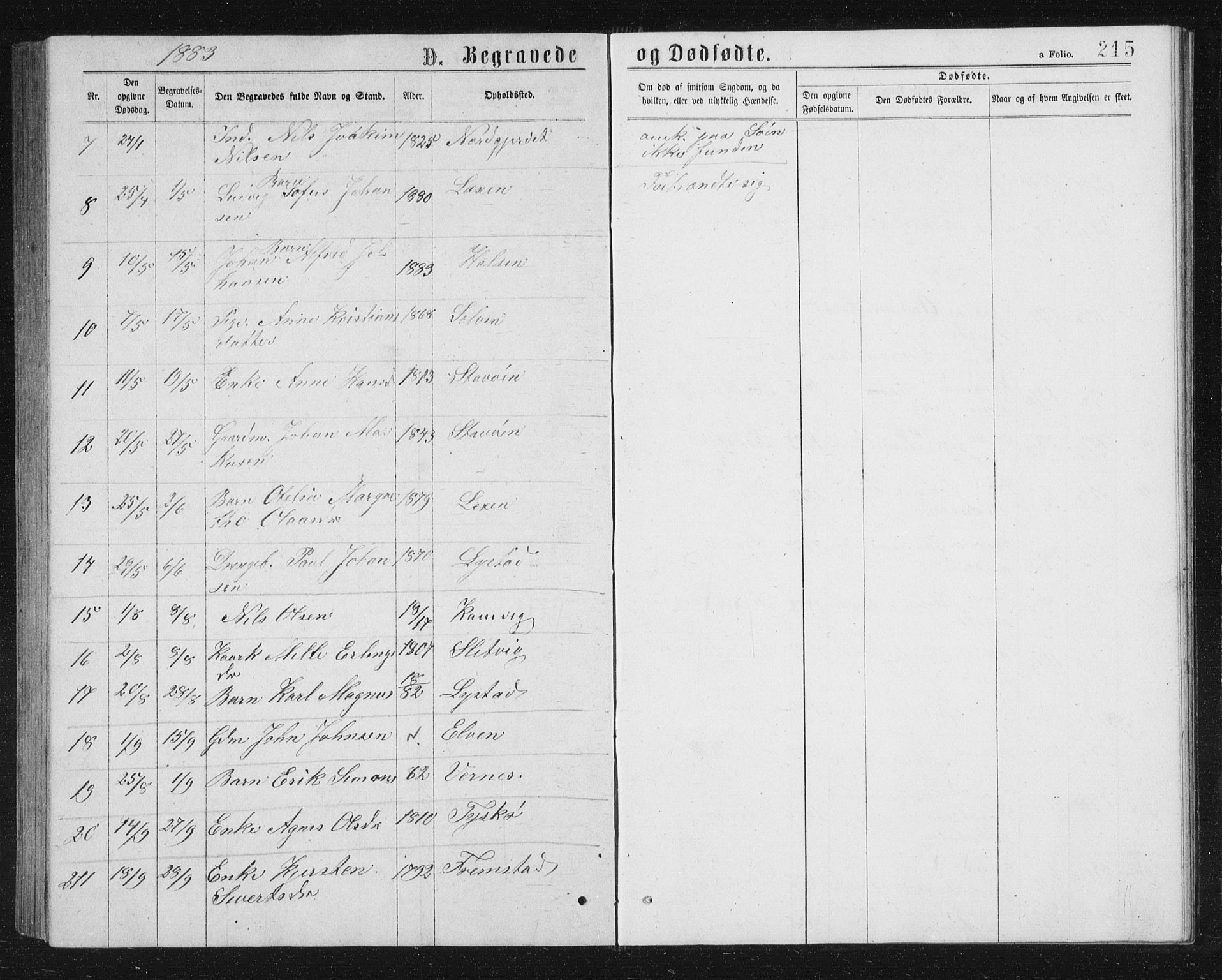 Ministerialprotokoller, klokkerbøker og fødselsregistre - Sør-Trøndelag, AV/SAT-A-1456/662/L0756: Parish register (copy) no. 662C01, 1869-1891, p. 215