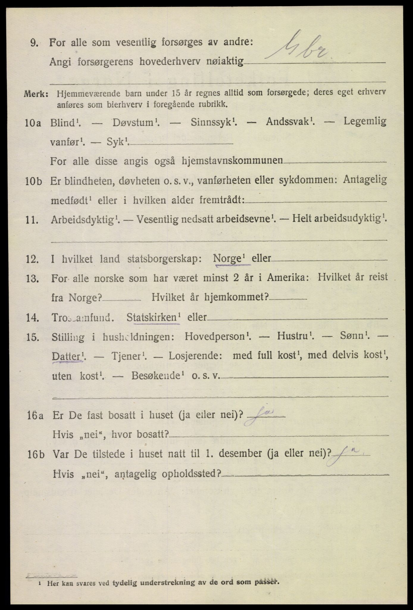 SAH, 1920 census for Dovre, 1920, p. 4563