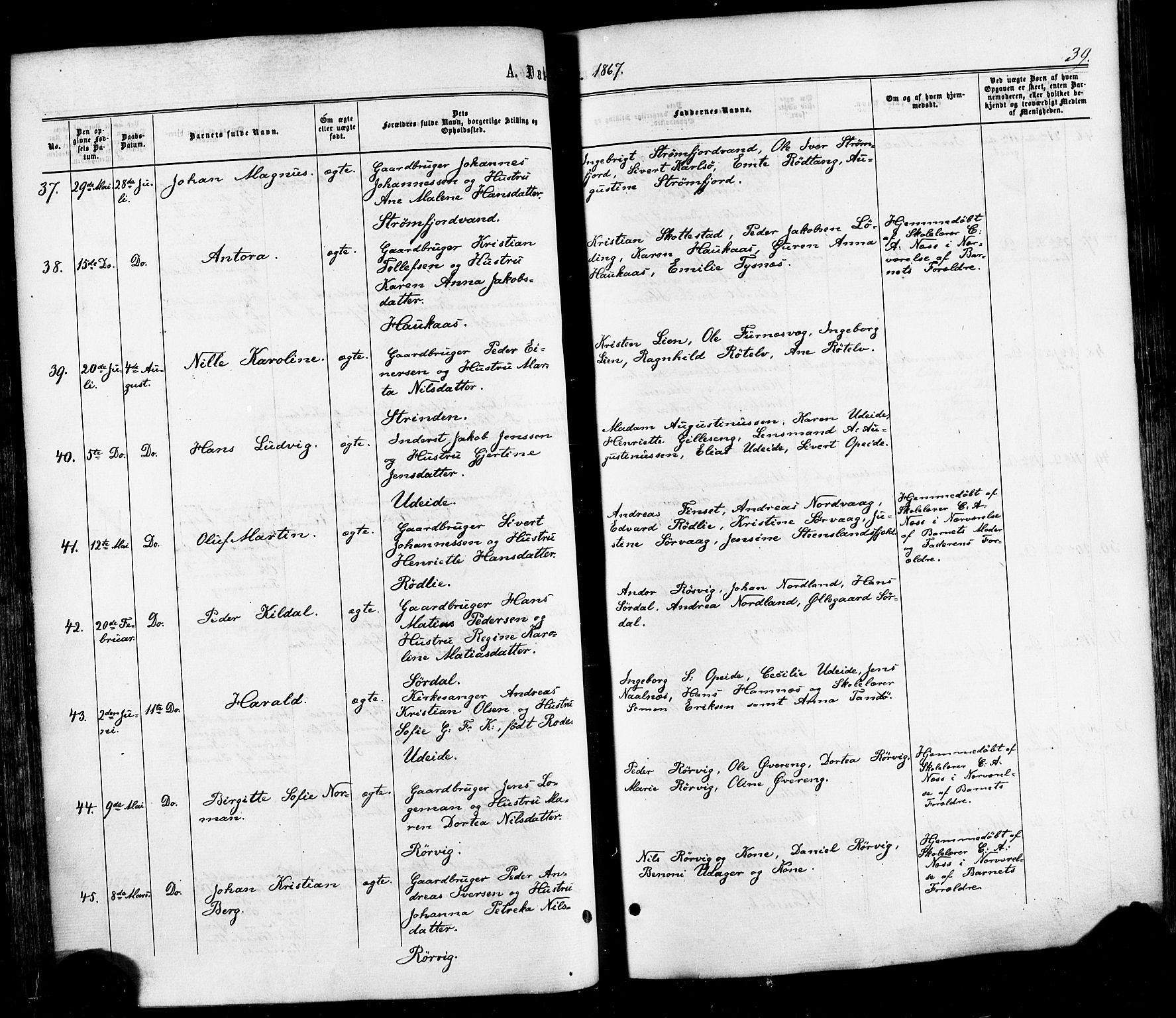 Ministerialprotokoller, klokkerbøker og fødselsregistre - Nordland, SAT/A-1459/859/L0845: Parish register (official) no. 859A05, 1863-1877, p. 39