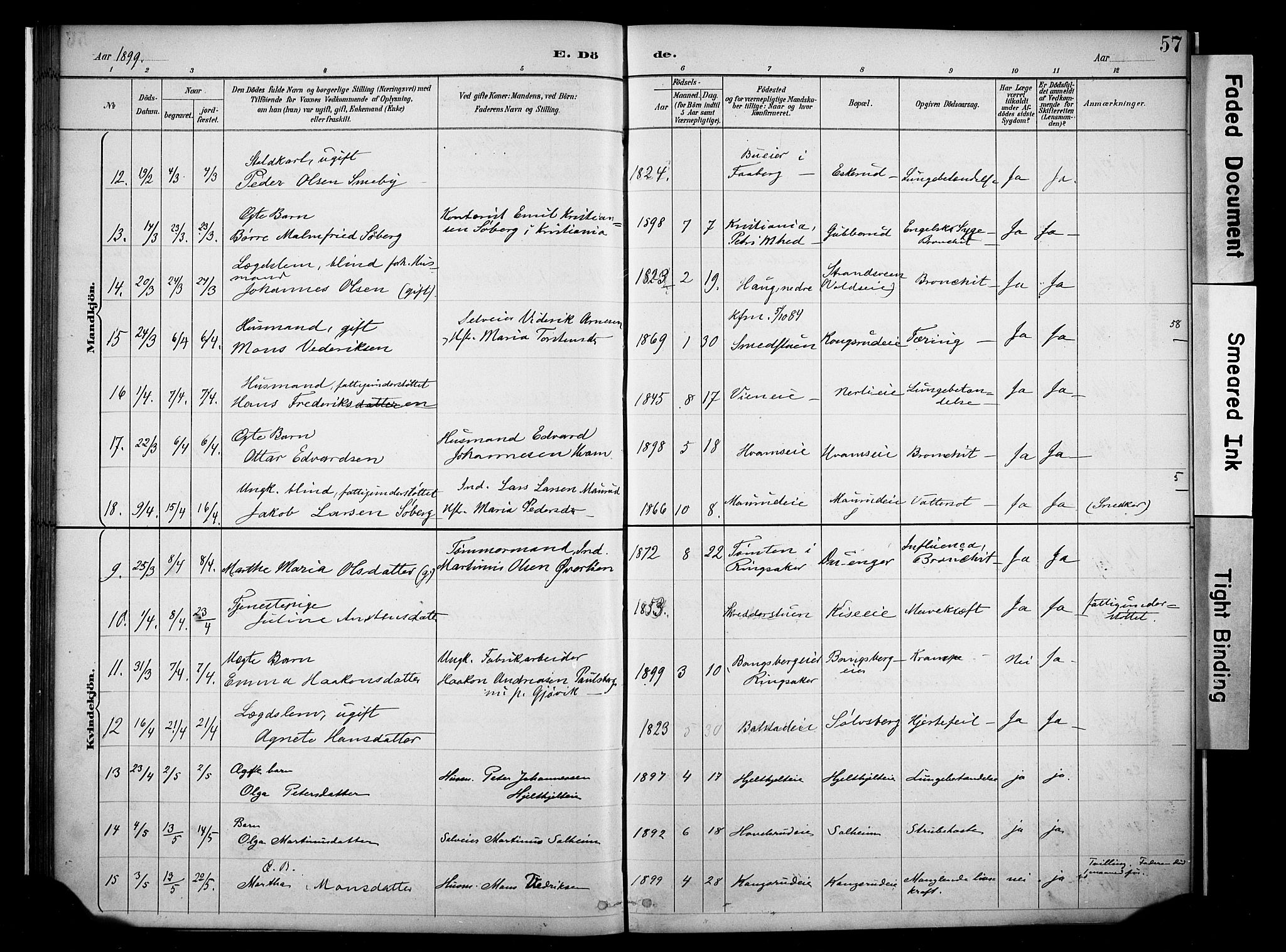 Nes prestekontor, Hedmark, AV/SAH-PREST-020/K/Ka/L0011: Parish register (official) no. 11, 1887-1905, p. 57