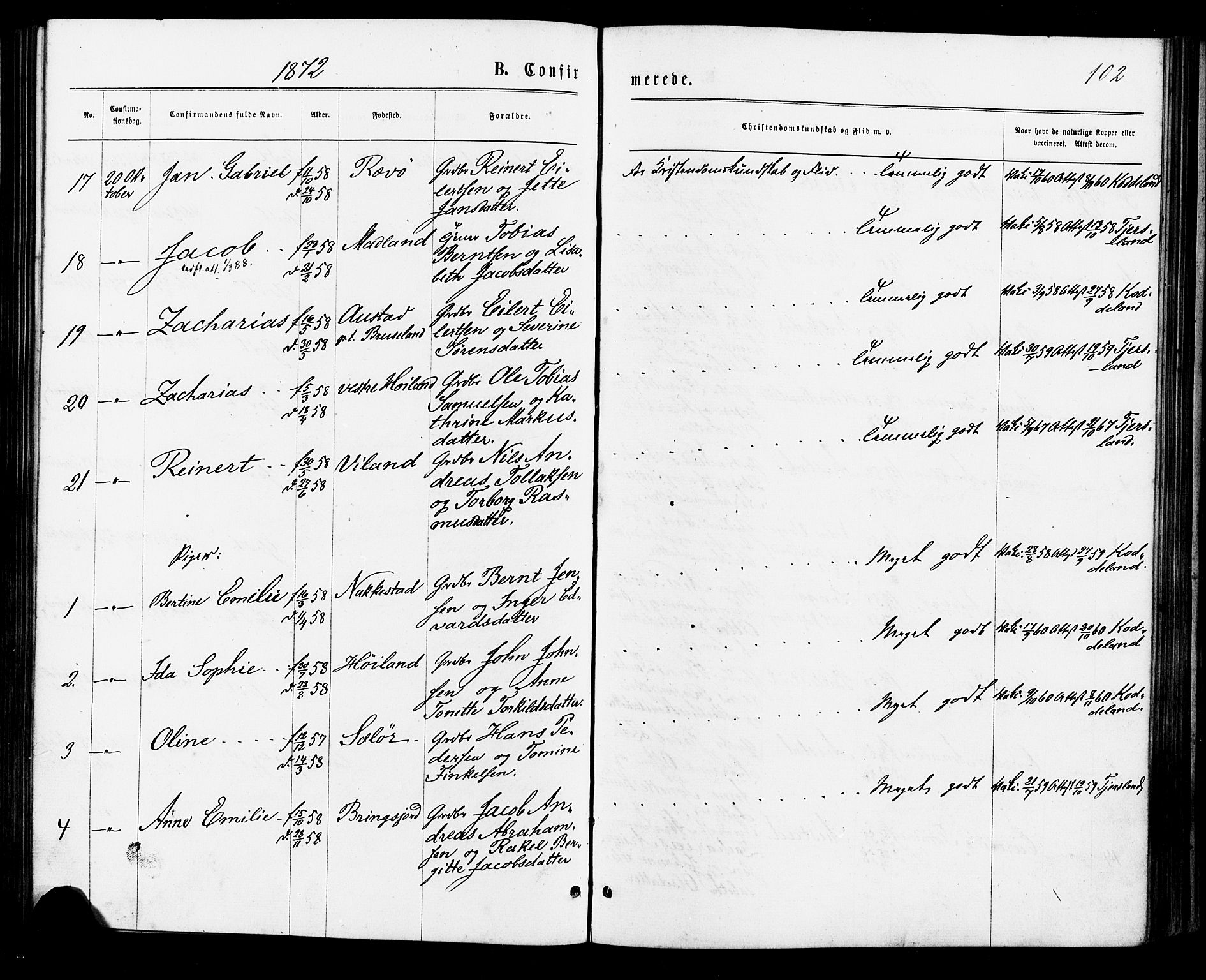 Lyngdal sokneprestkontor, AV/SAK-1111-0029/F/Fa/Faa/L0003: Parish register (official) no. A 3, 1871-1882, p. 102