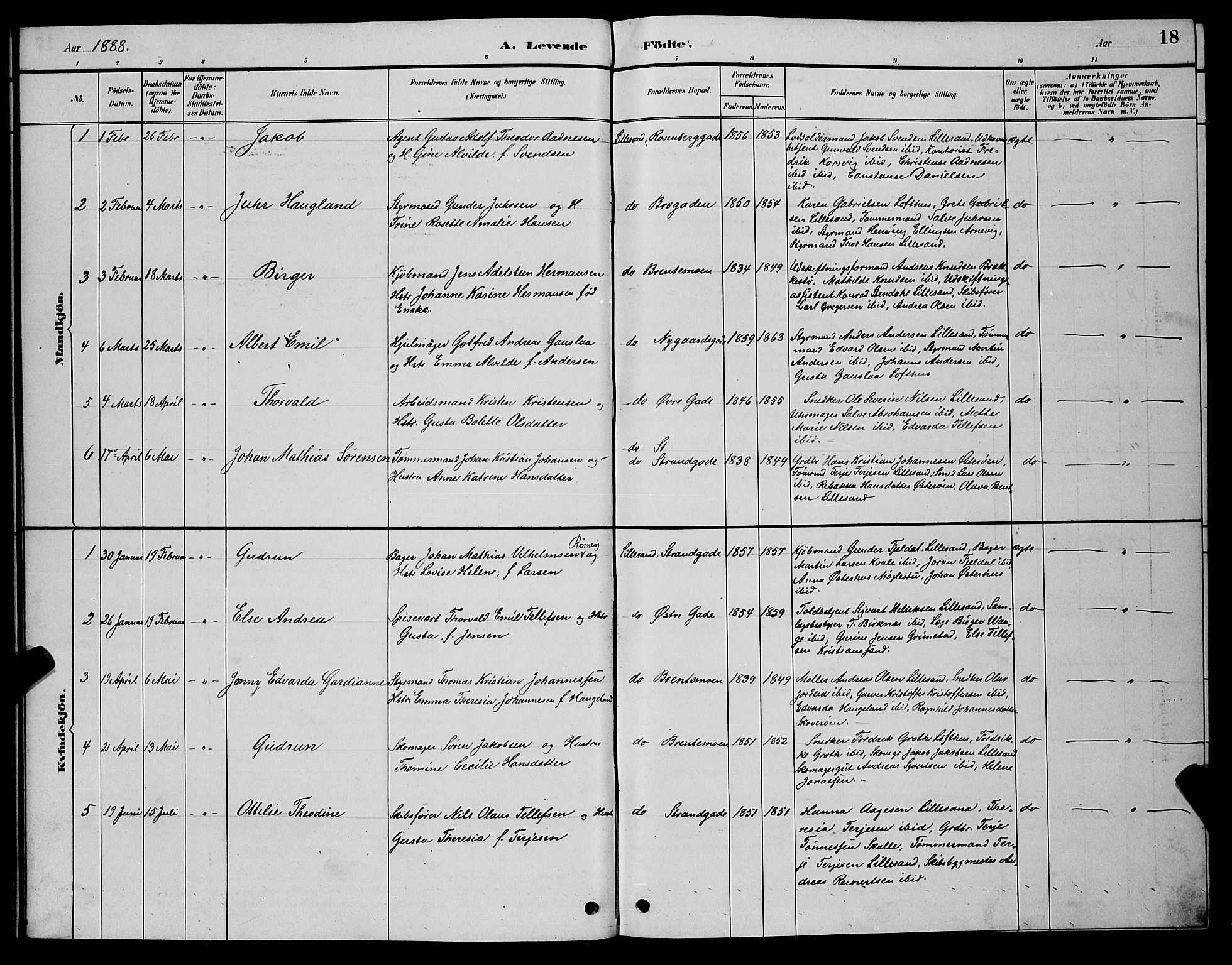 Vestre Moland sokneprestkontor, AV/SAK-1111-0046/F/Fb/Fba/L0001: Parish register (copy) no. B 1, 1884-1903, p. 18