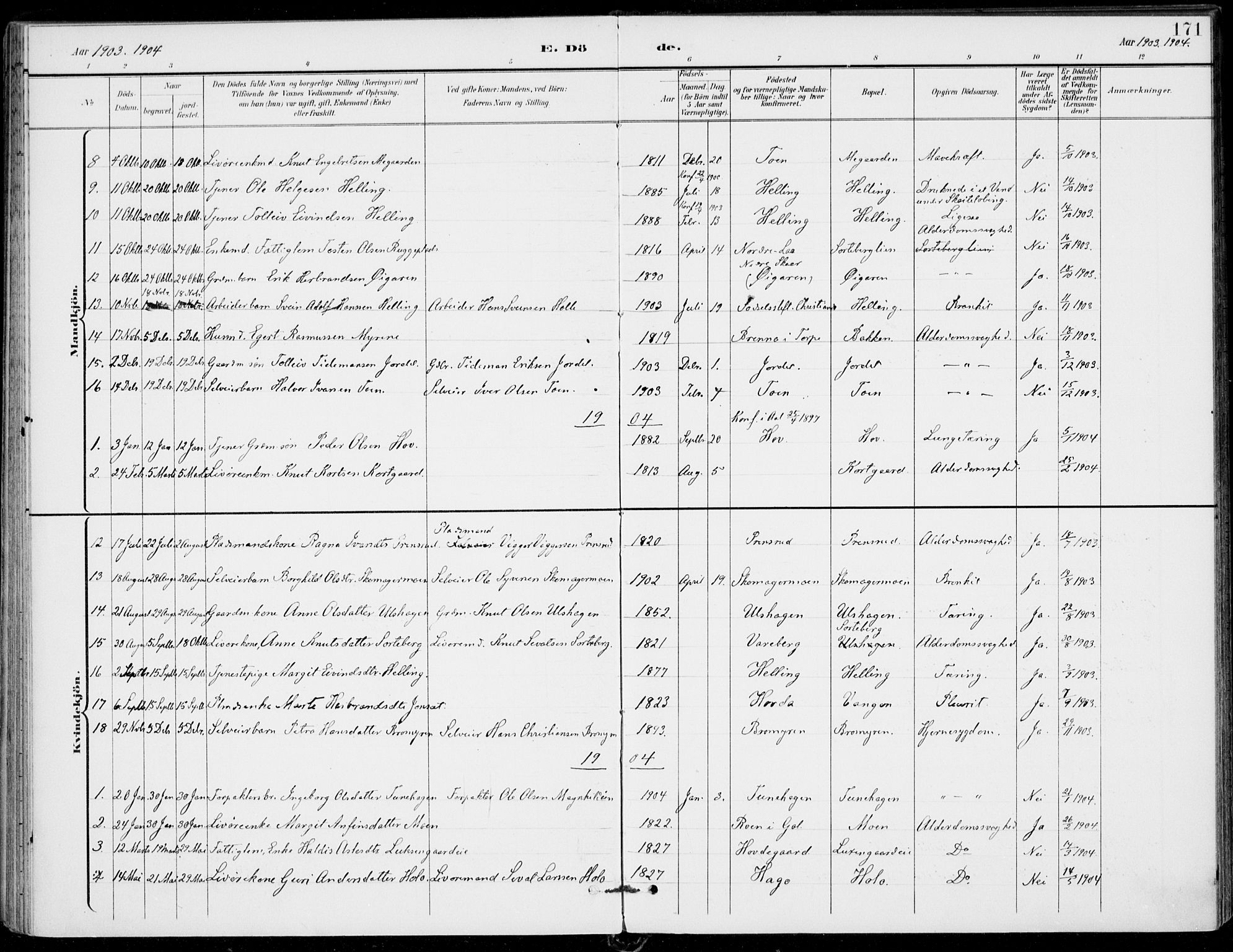 Ål kirkebøker, AV/SAKO-A-249/F/Fa/L0009: Parish register (official) no. I 9, 1897-1915, p. 171