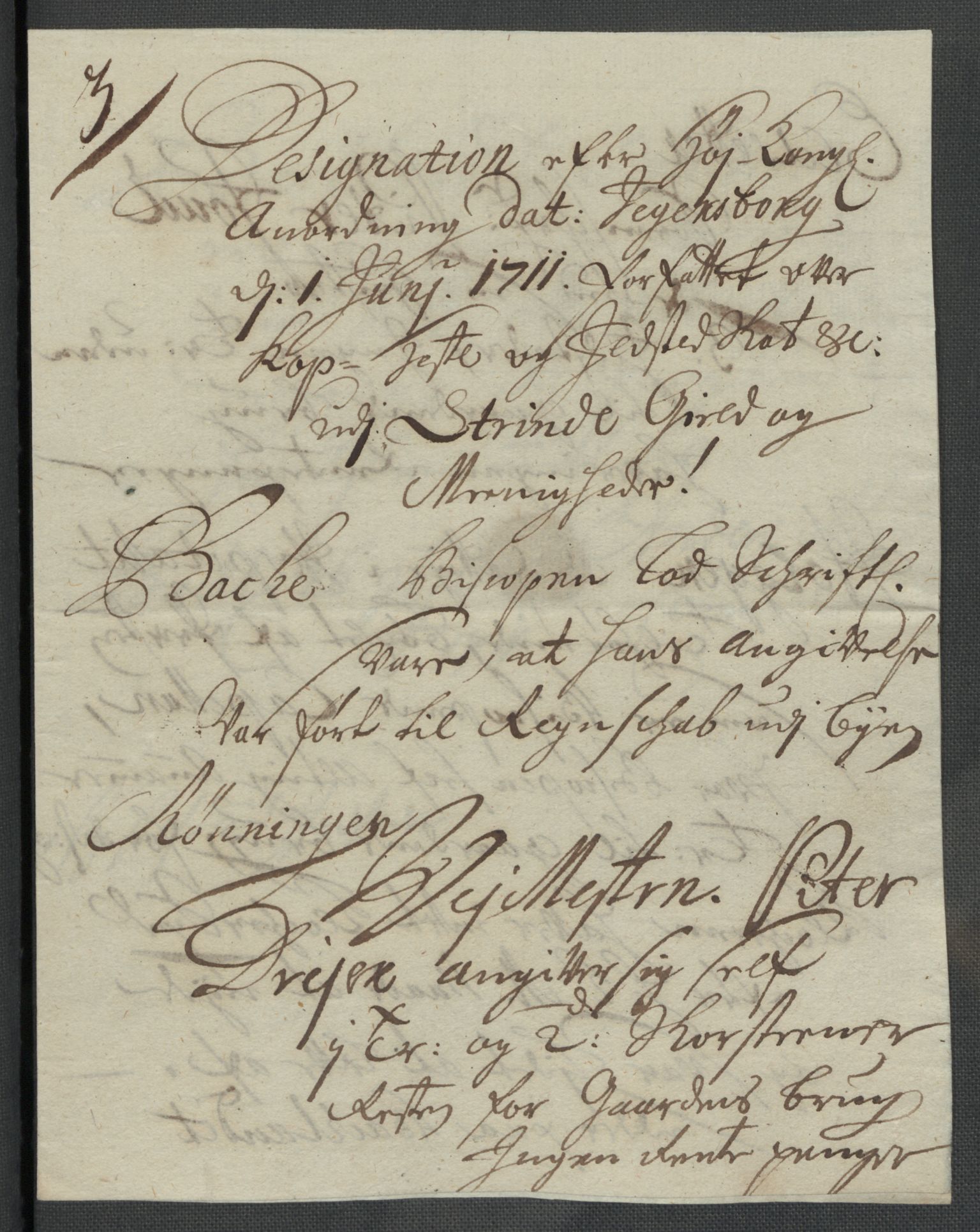 Rentekammeret inntil 1814, Reviderte regnskaper, Fogderegnskap, AV/RA-EA-4092/R61/L4112: Fogderegnskap Strinda og Selbu, 1711, p. 119