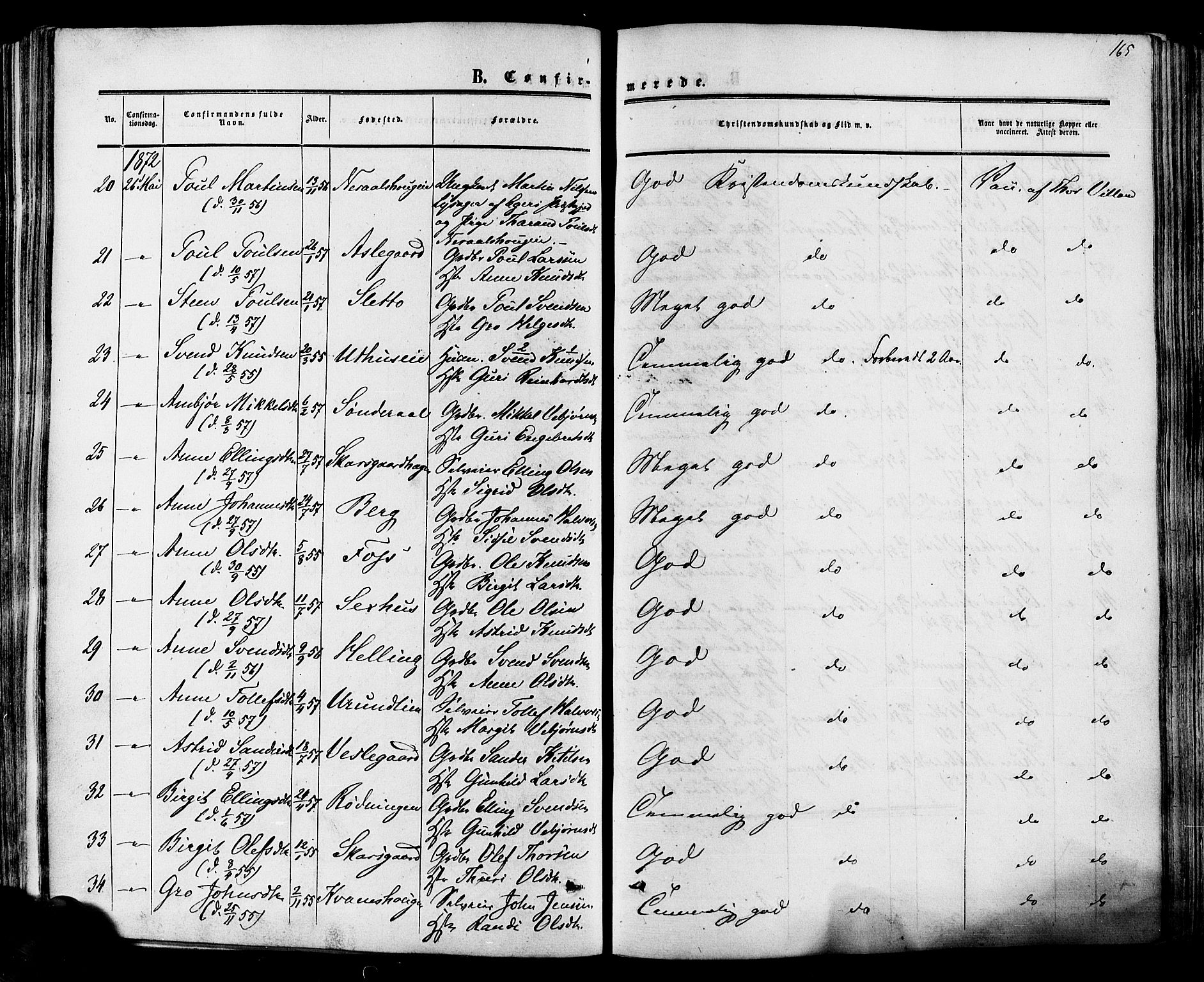 Hol kirkebøker, AV/SAKO-A-227/F/Fa/L0002: Parish register (official) no. I 2, 1870-1886, p. 165