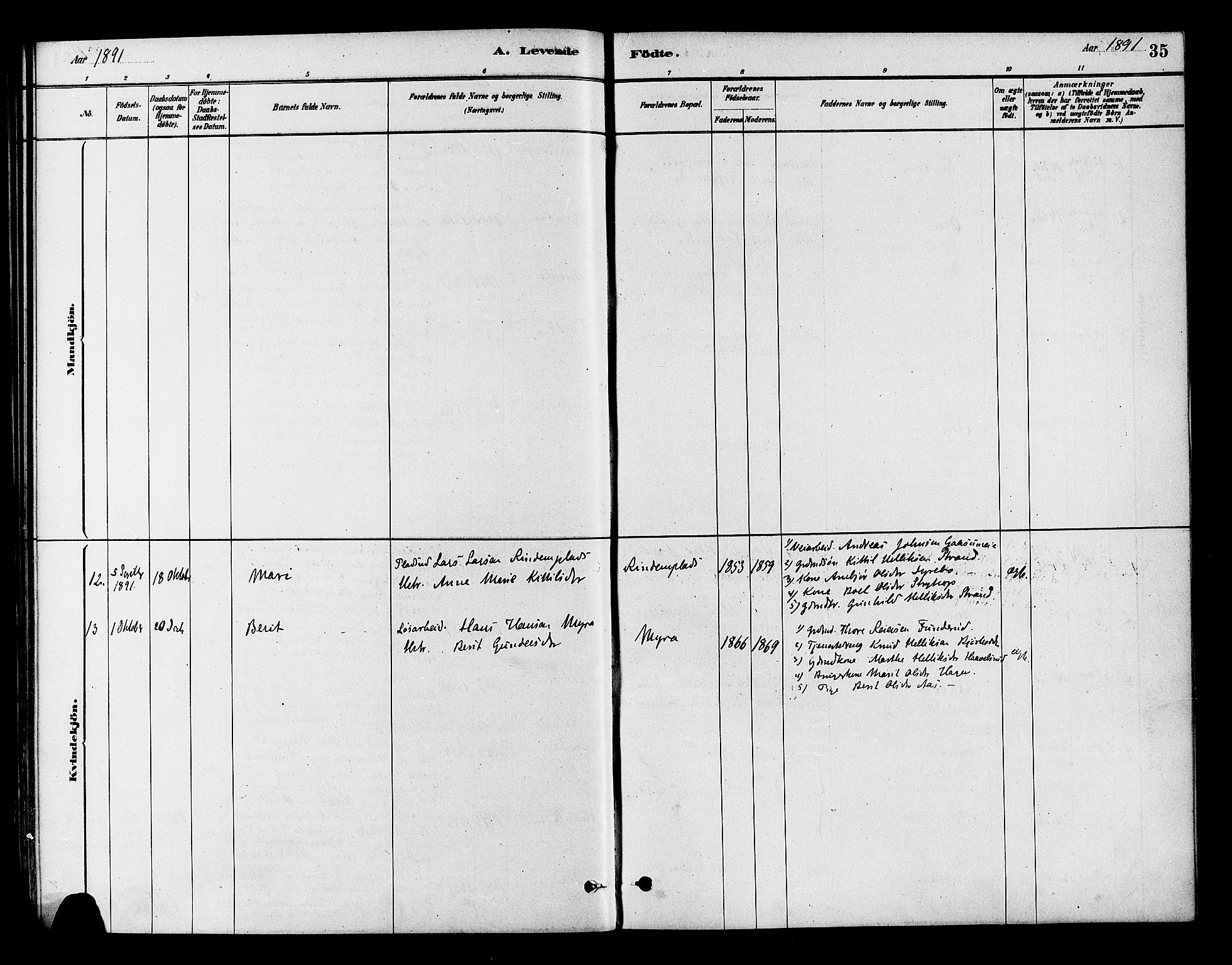 Flesberg kirkebøker, AV/SAKO-A-18/F/Fb/L0001: Parish register (official) no. II 1, 1879-1907, p. 35