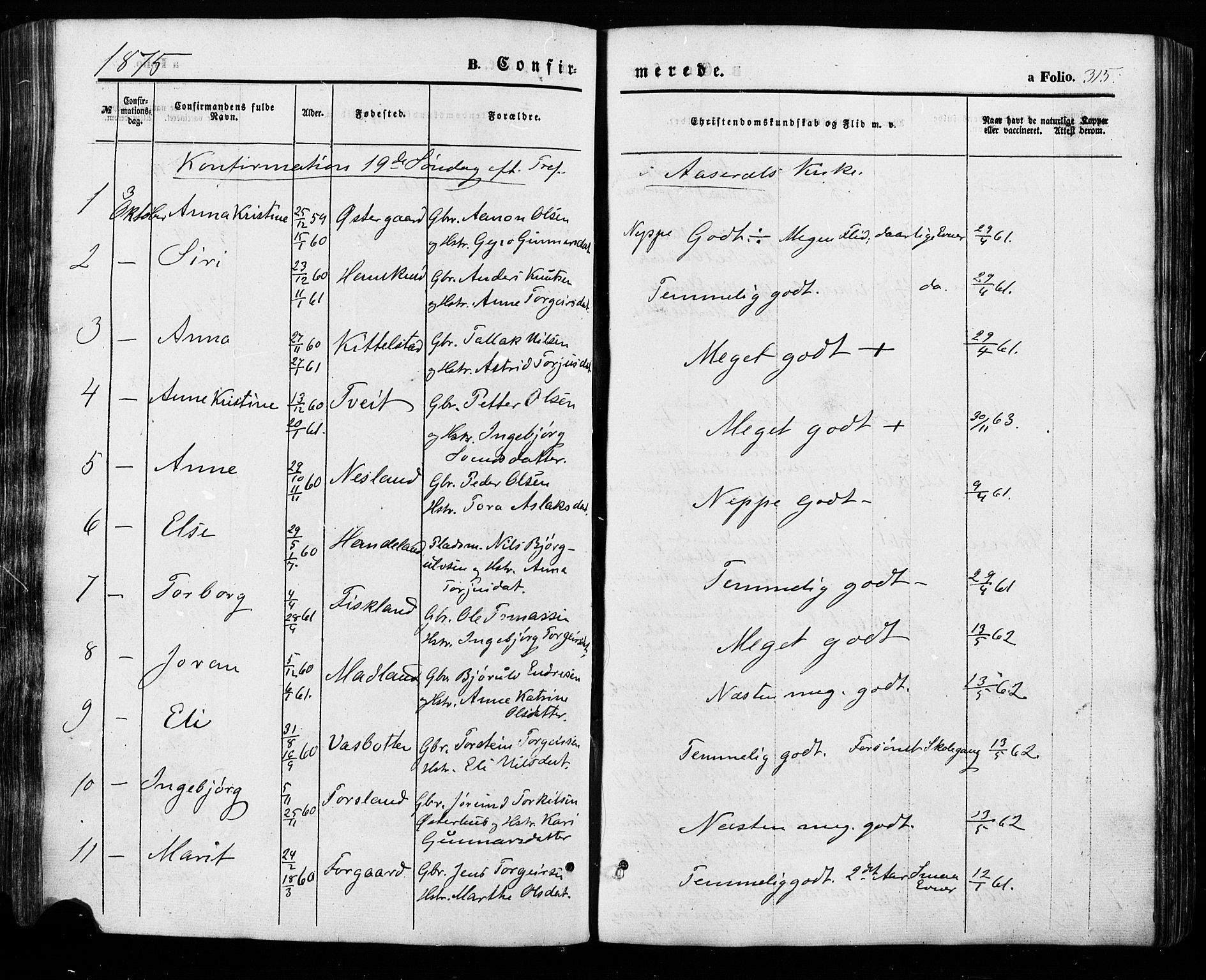 Åseral sokneprestkontor, SAK/1111-0051/F/Fa/L0002: Parish register (official) no. A 2, 1854-1884, p. 315