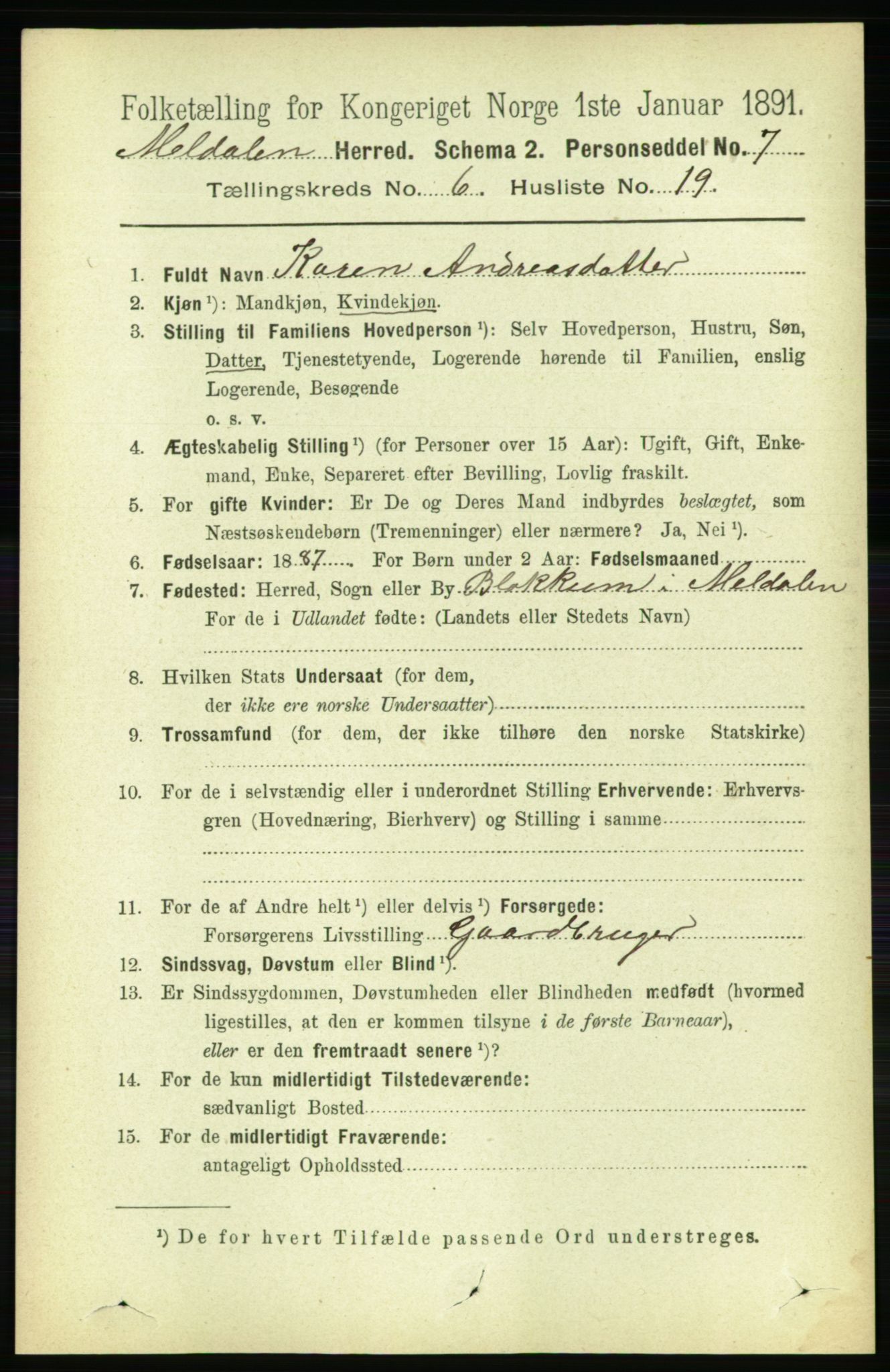 RA, 1891 census for 1636 Meldal, 1891, p. 2992